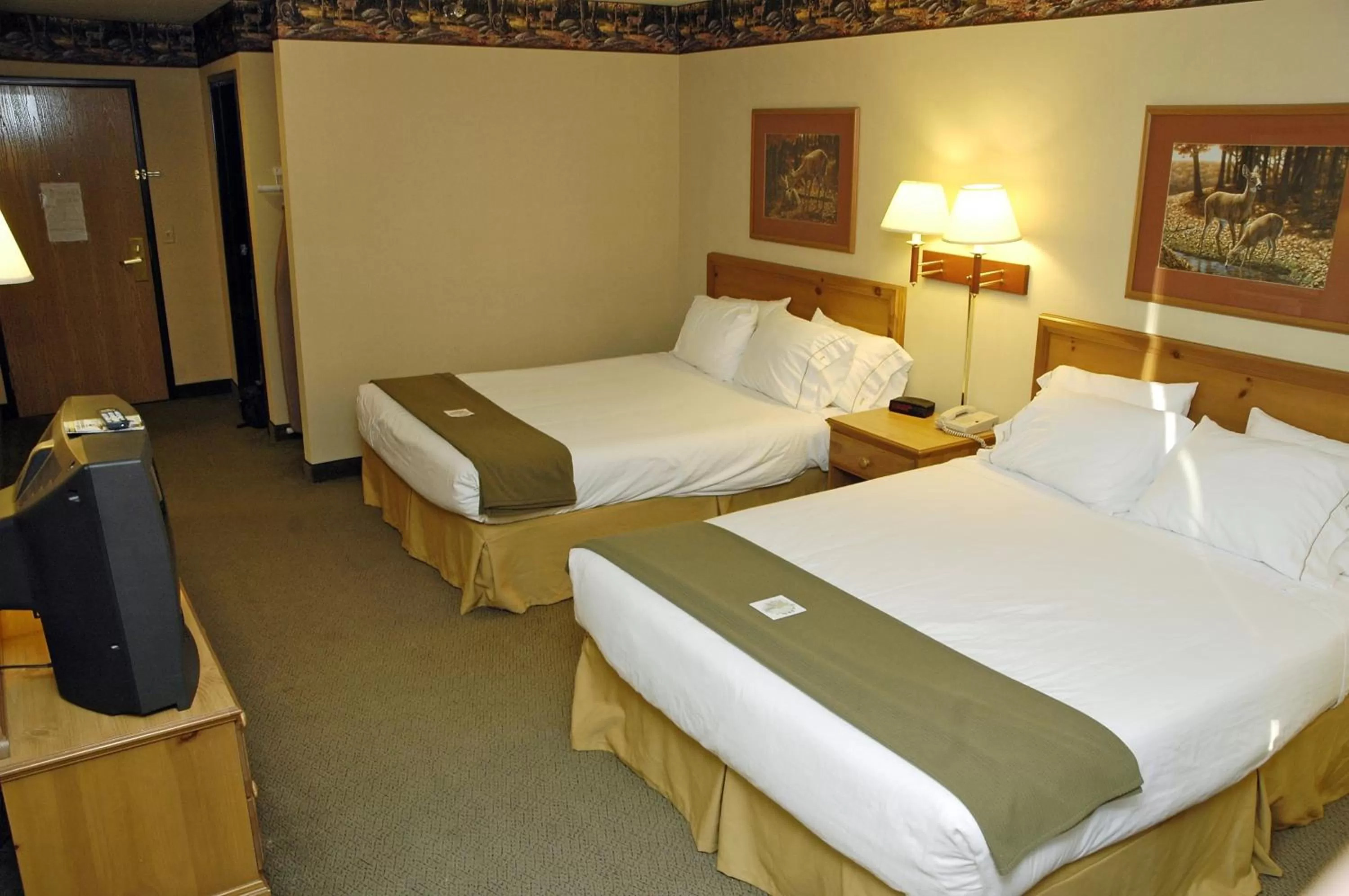 Photo of the whole room, Bed in Pellston Lodge