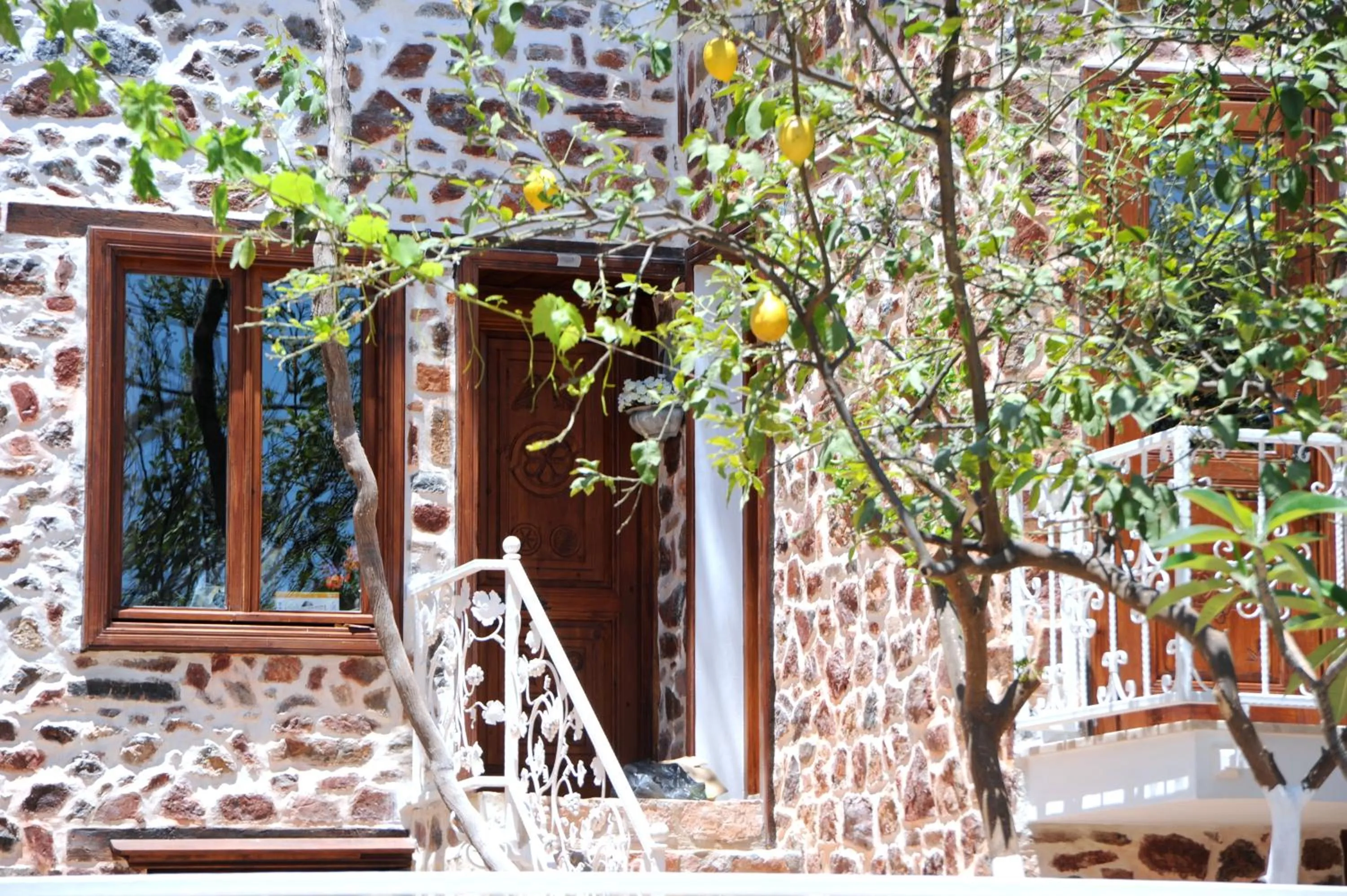 Facade/entrance in Lemon Villa Hotel