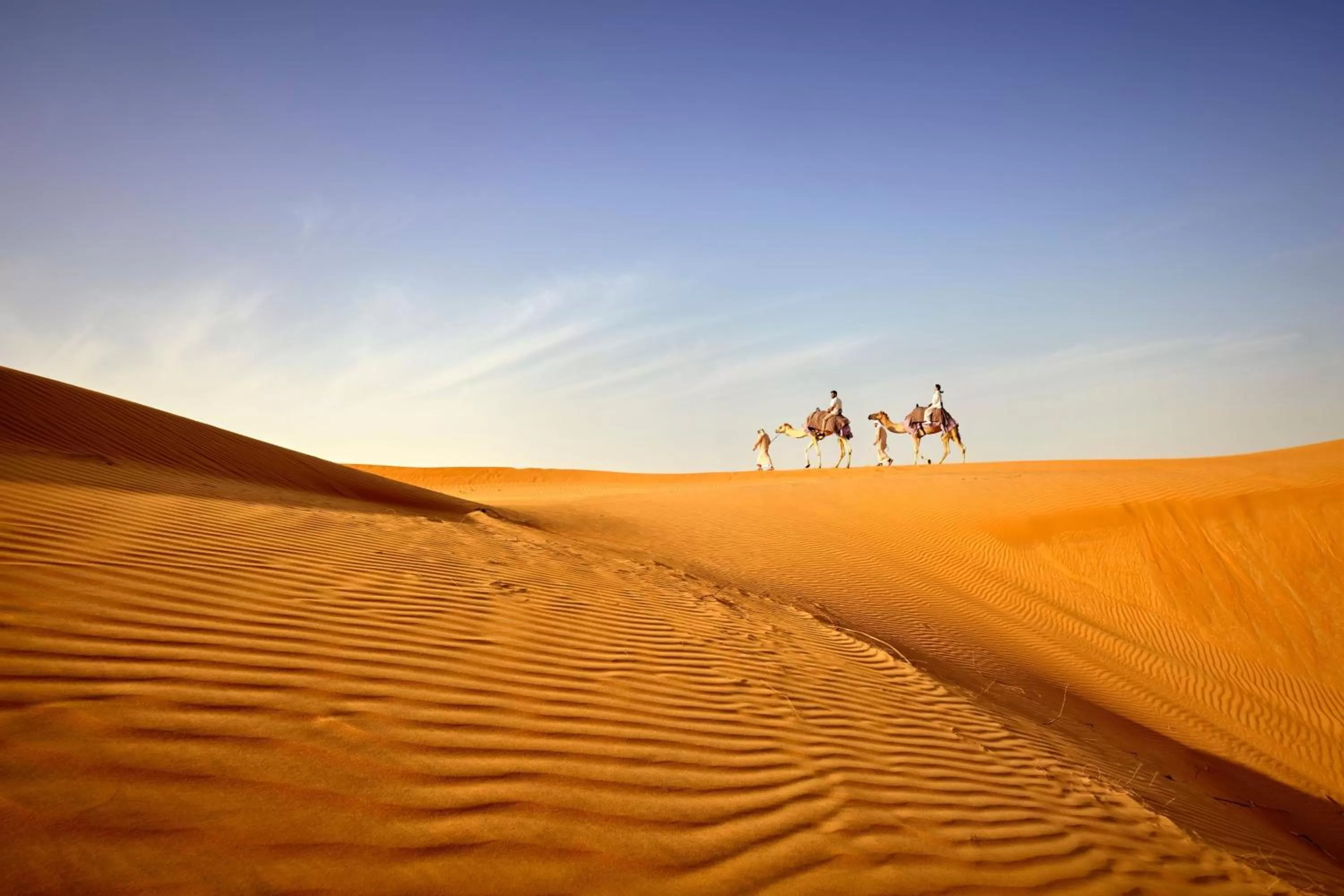 Other in The Ritz-Carlton Ras Al Khaimah, Al Wadi Desert