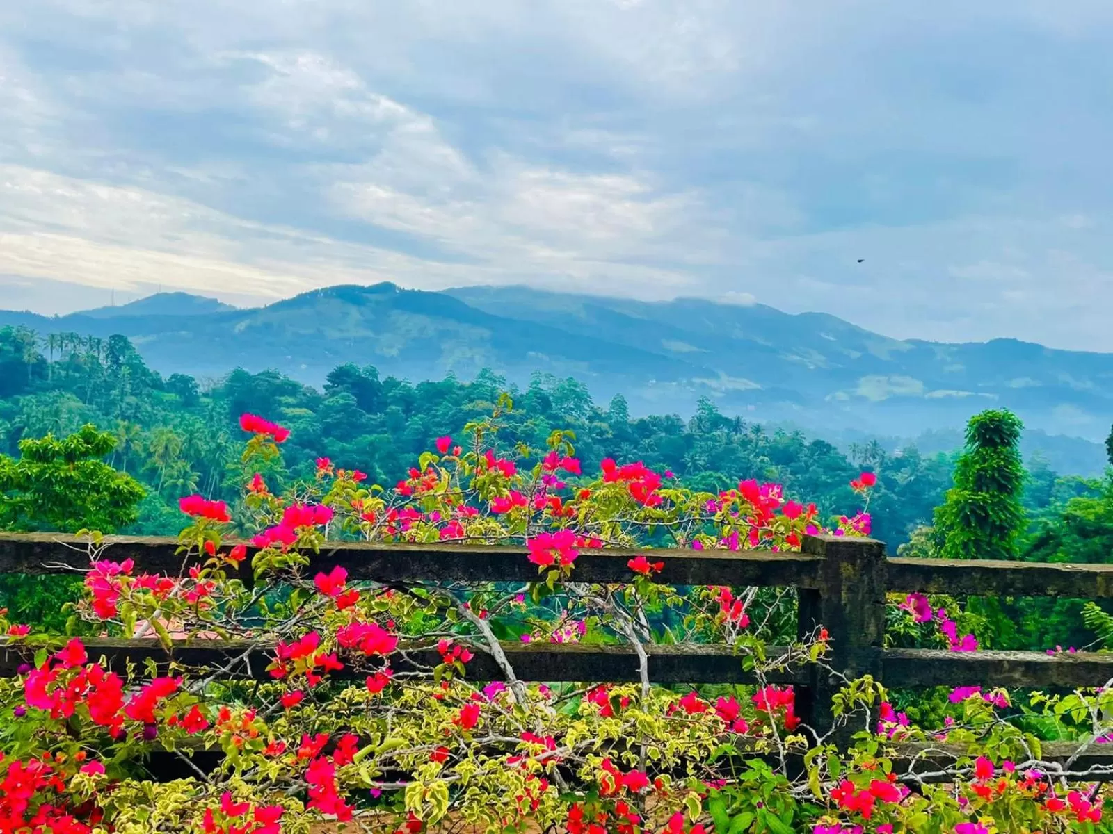 Swimming pool in Elegant Hotel