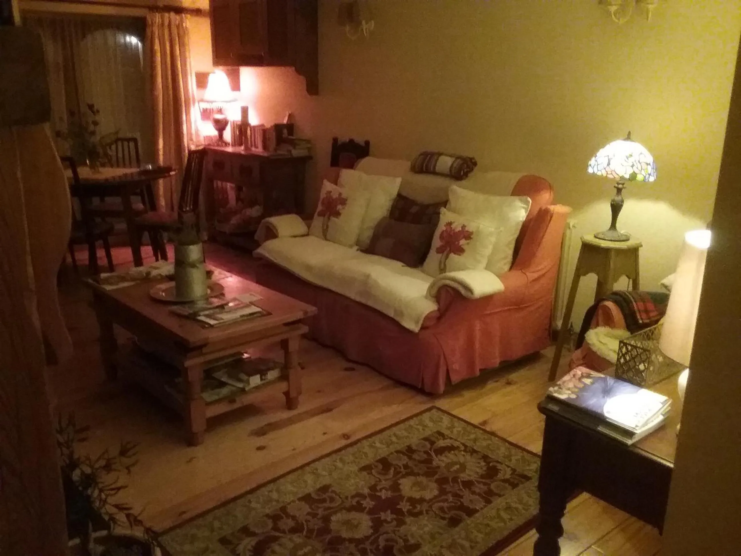 Communal lounge/ TV room in Ashleigh Guest House