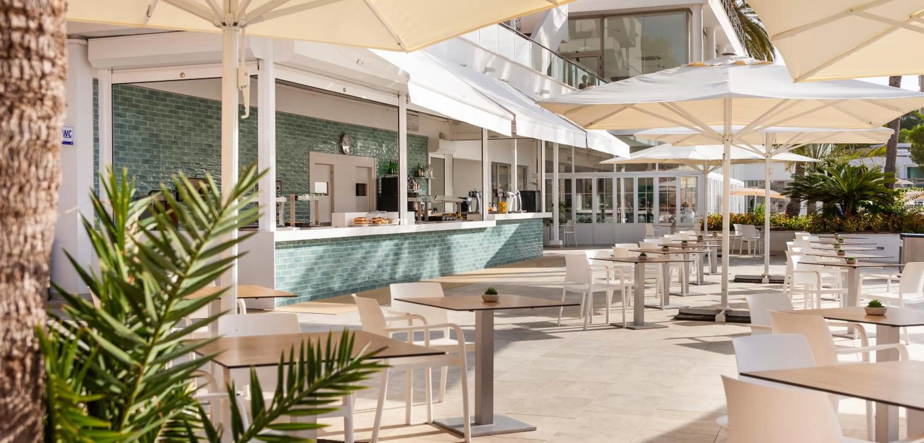 Restaurant/places to eat in Globales Mimosa