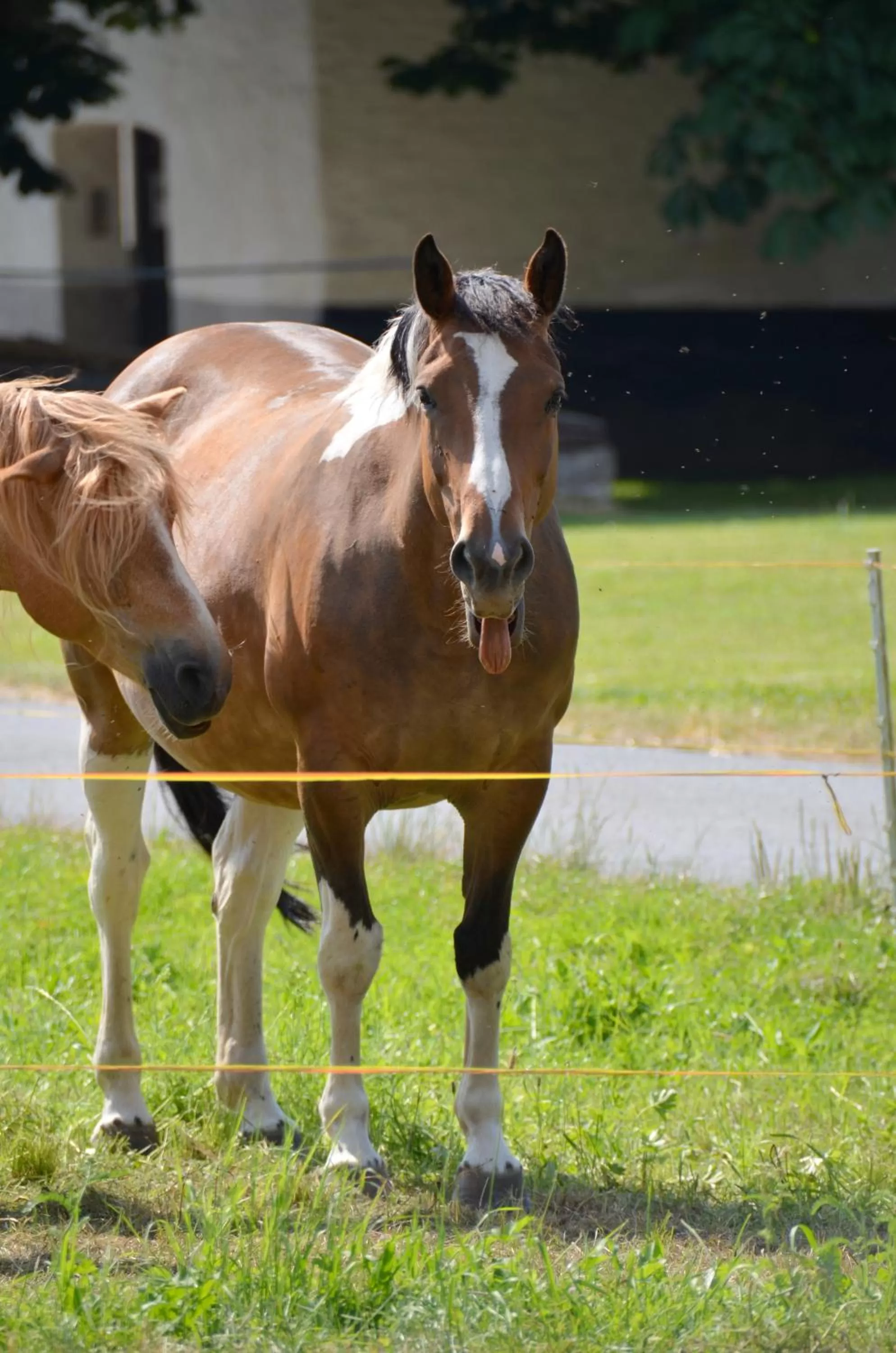 Day in Landhotel Sulzbacher Hof