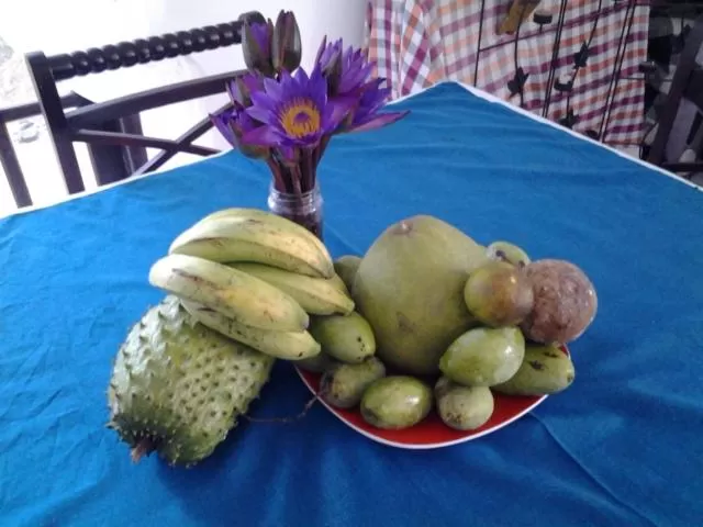 Food in Bon Accord Mirissa