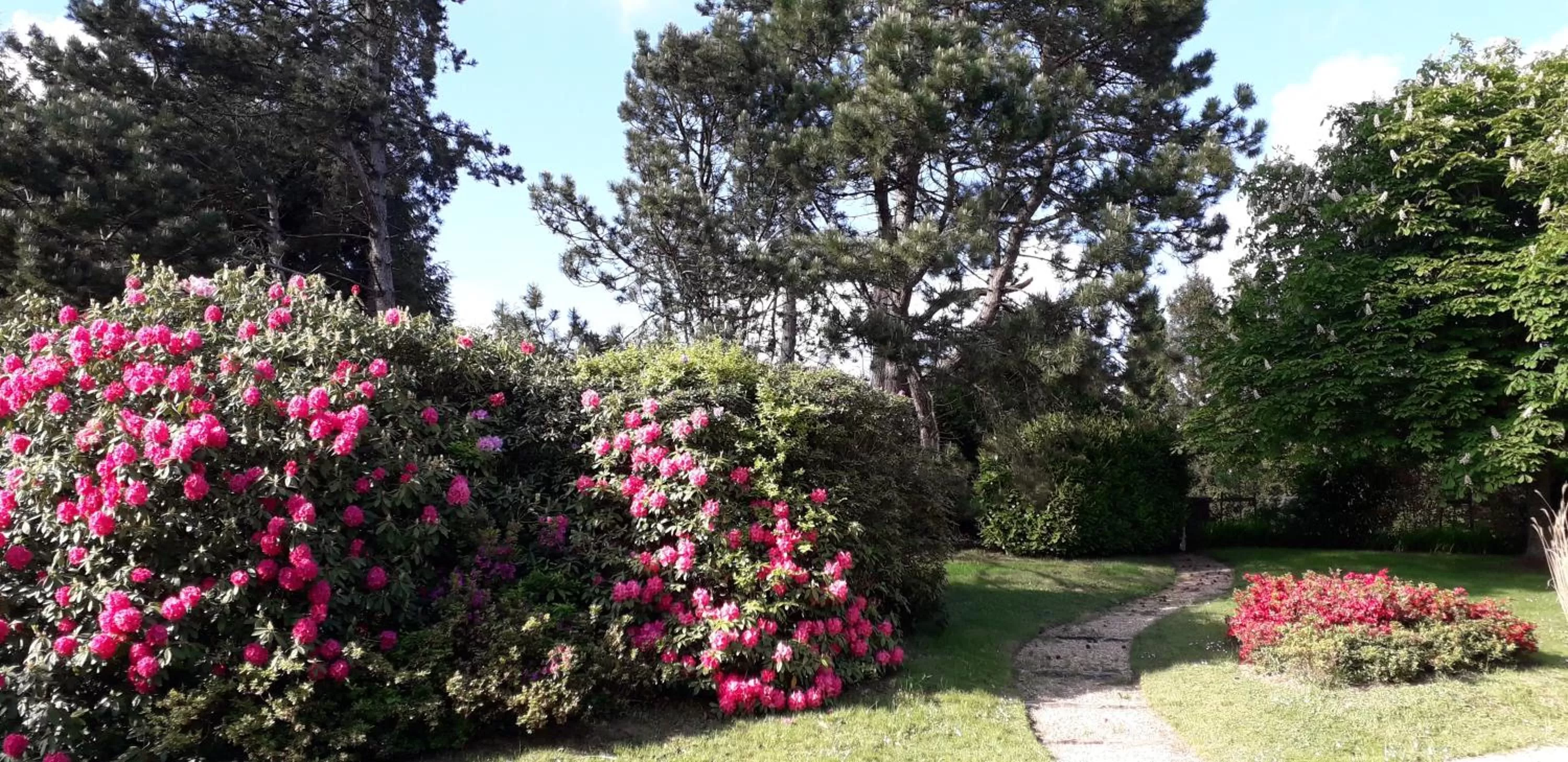 Spring, Garden in KerBlondel