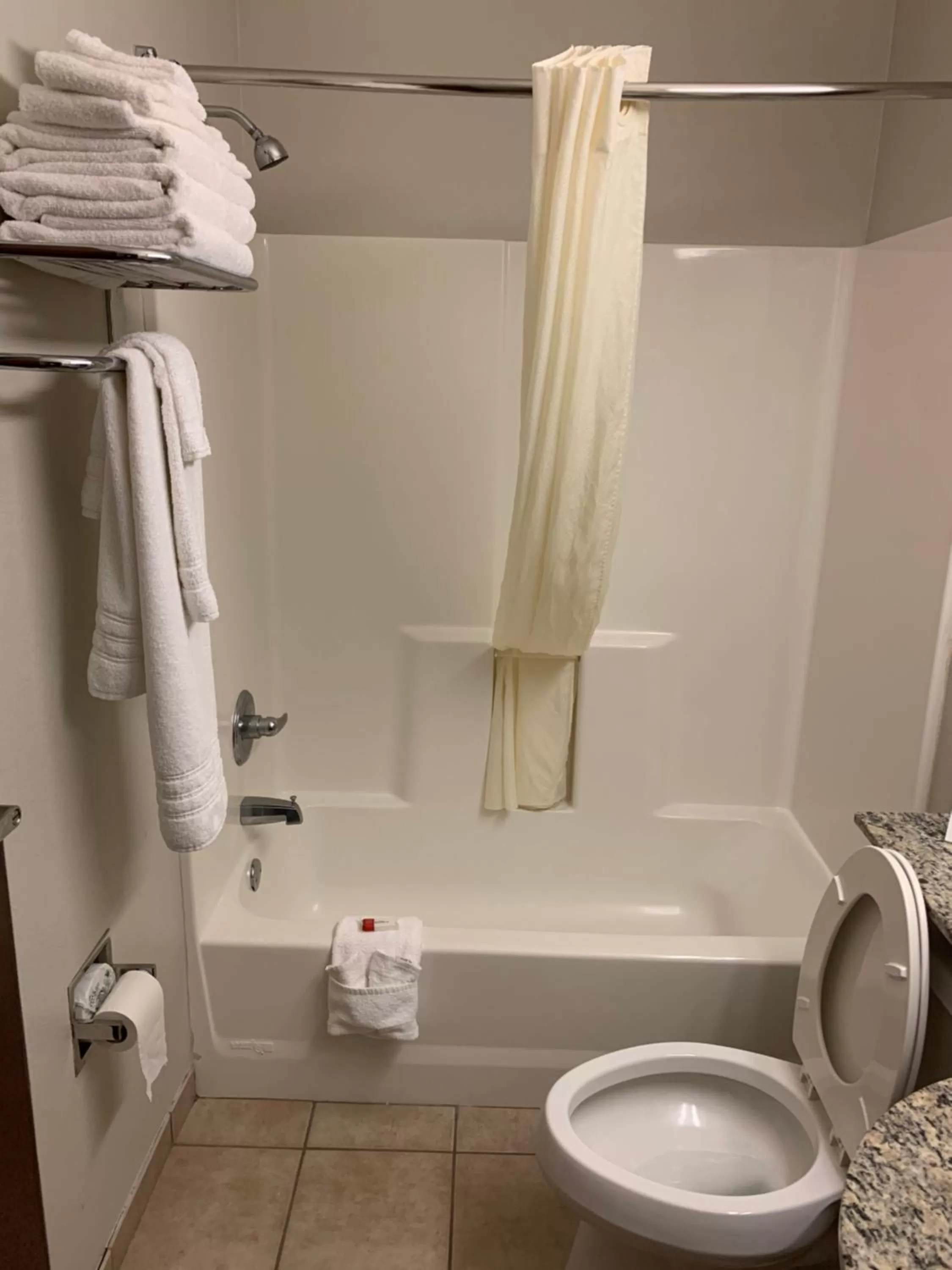 Bathroom in Microtel Inn & Suites by Wyndham Pearl River/Slidell