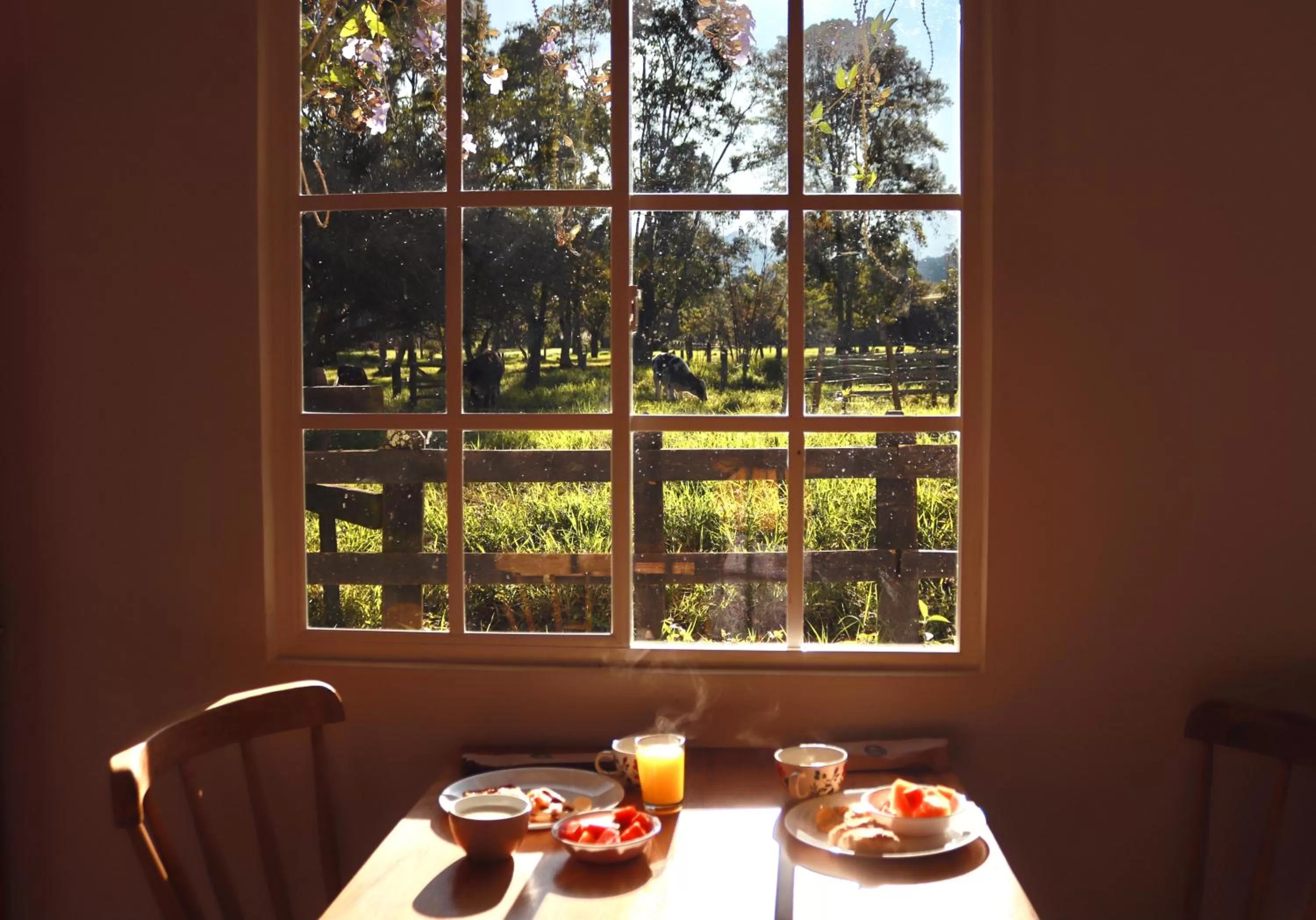Dining area in La Cabaña Ecohotel - Valle del Cocora