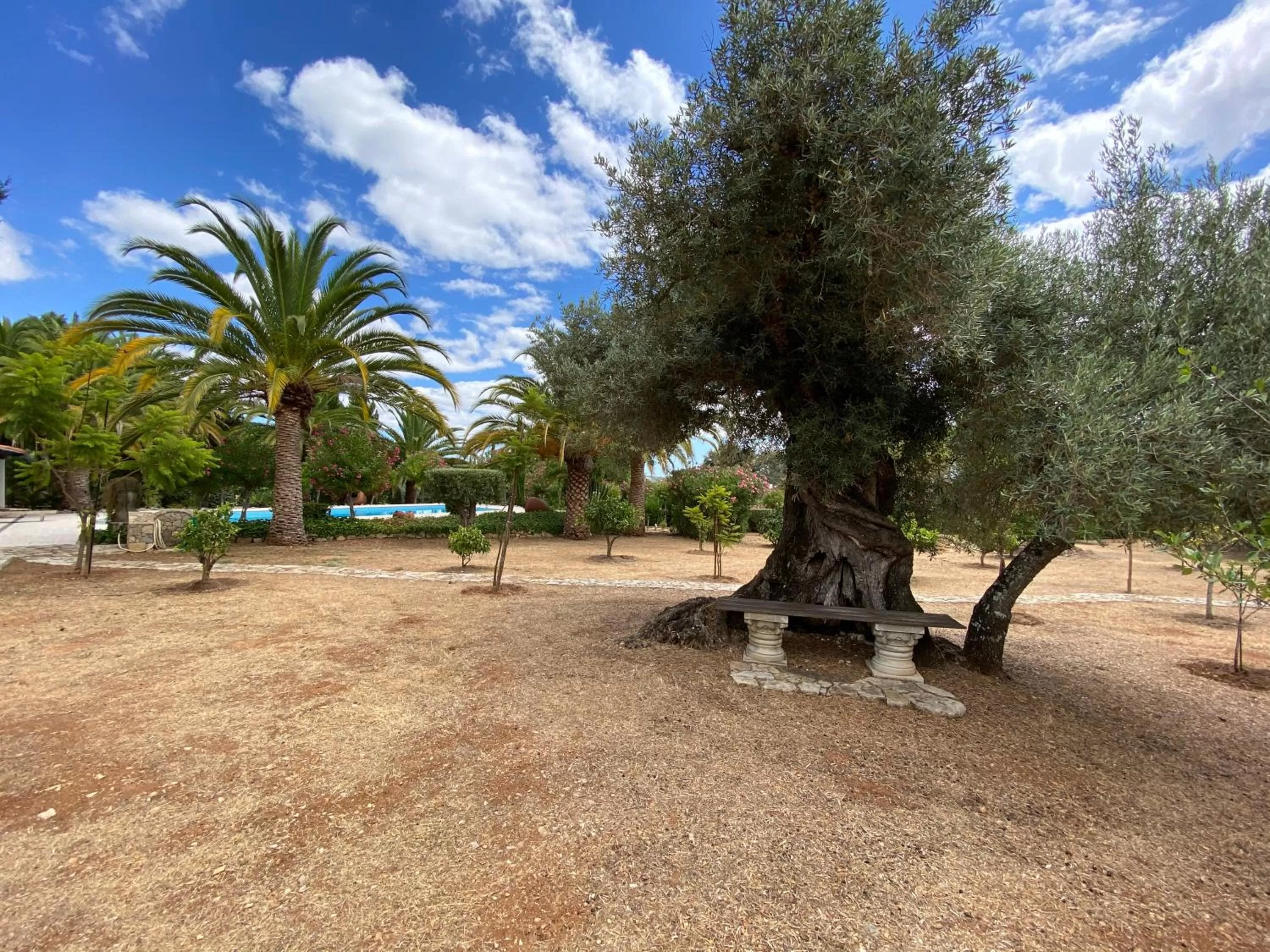 Garden in Adamah Vayu -Casa Serenida