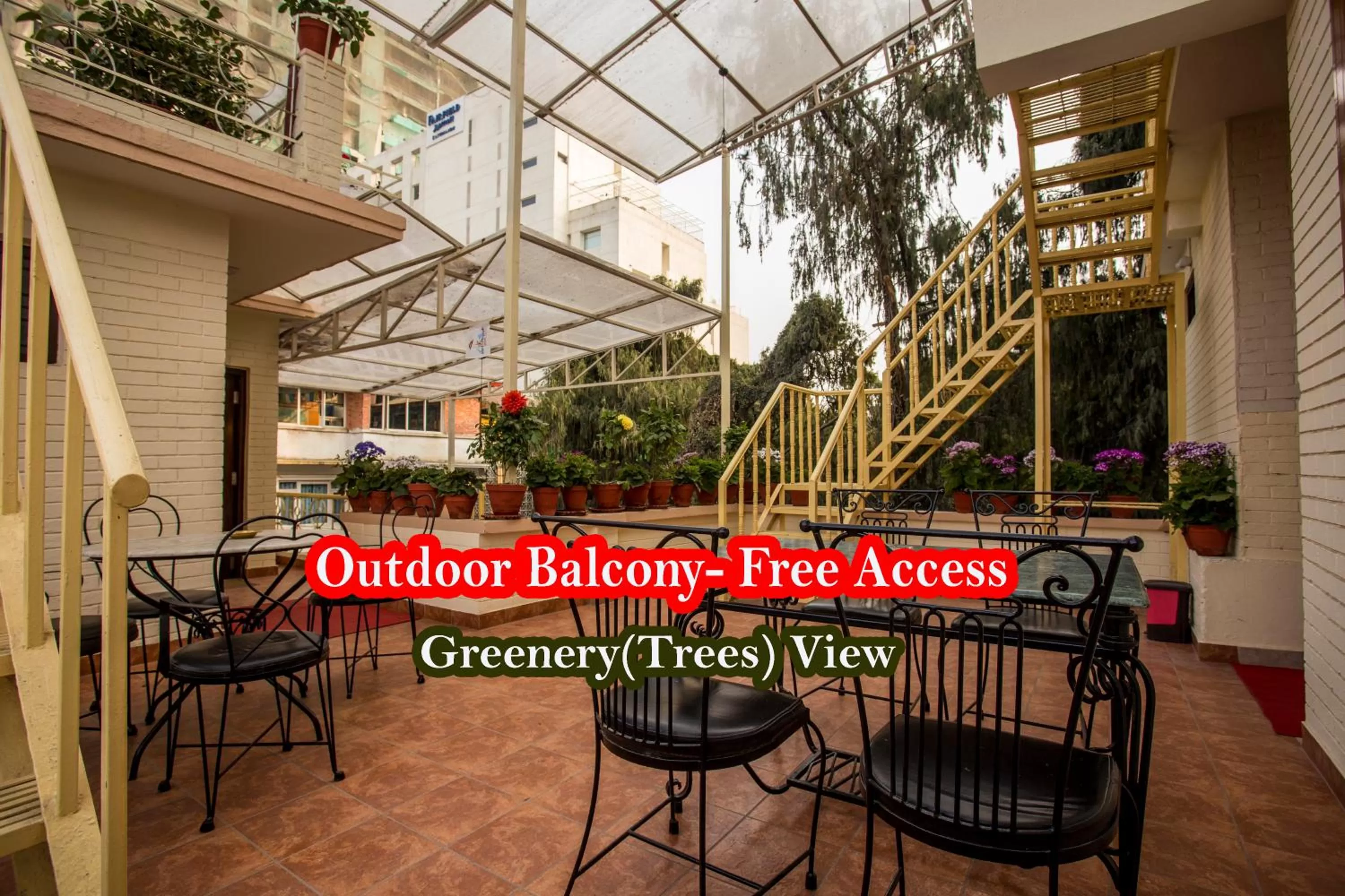 Balcony/Terrace in Hotel Blue Horizon