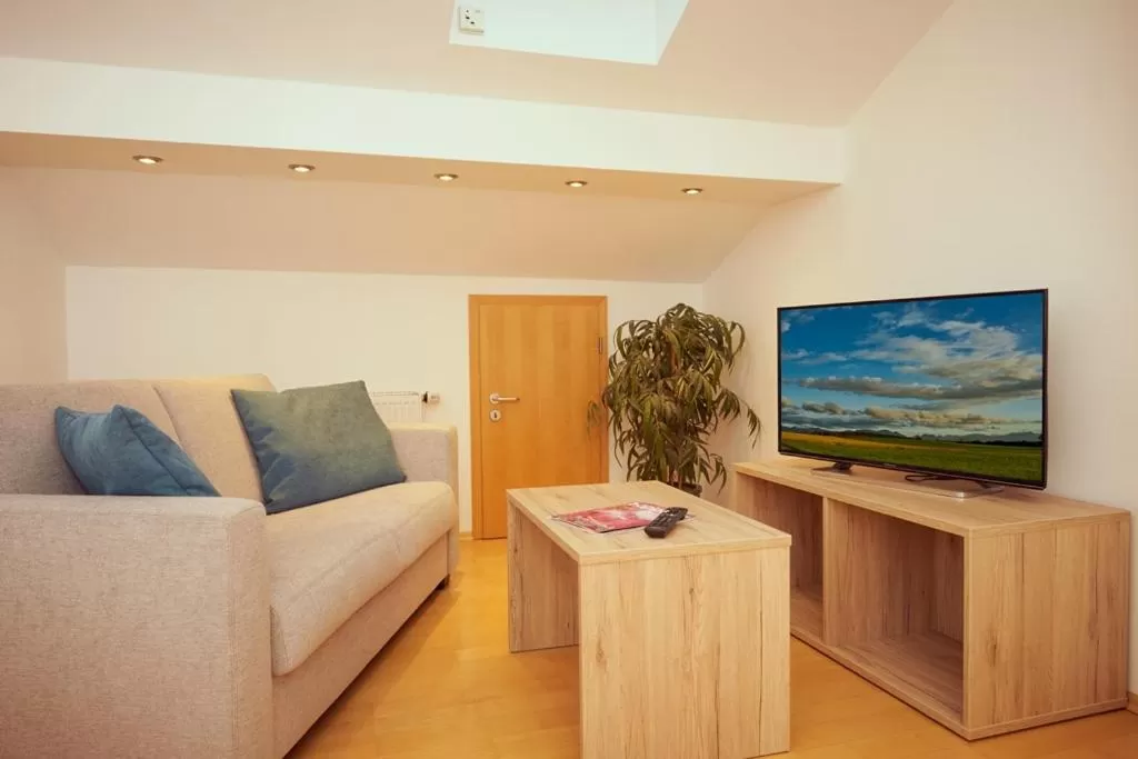 Communal lounge/ TV room in Hotel Seeblick & Ferienwohnung