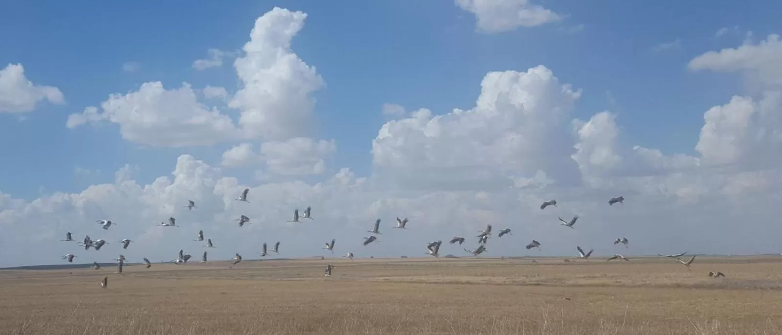 Natural landscape in Hostal Athlanta