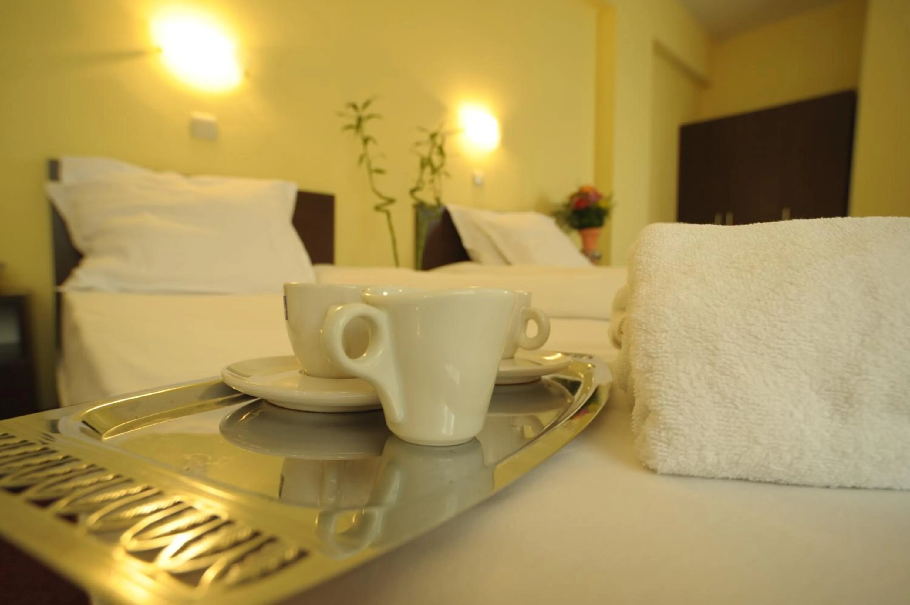 Photo of the whole room, Bed in Hotel Alexander