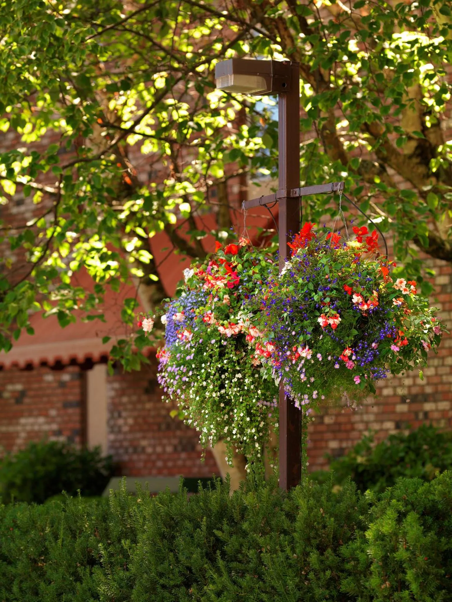 Area and facilities in Royal Scot Hotel & Suites