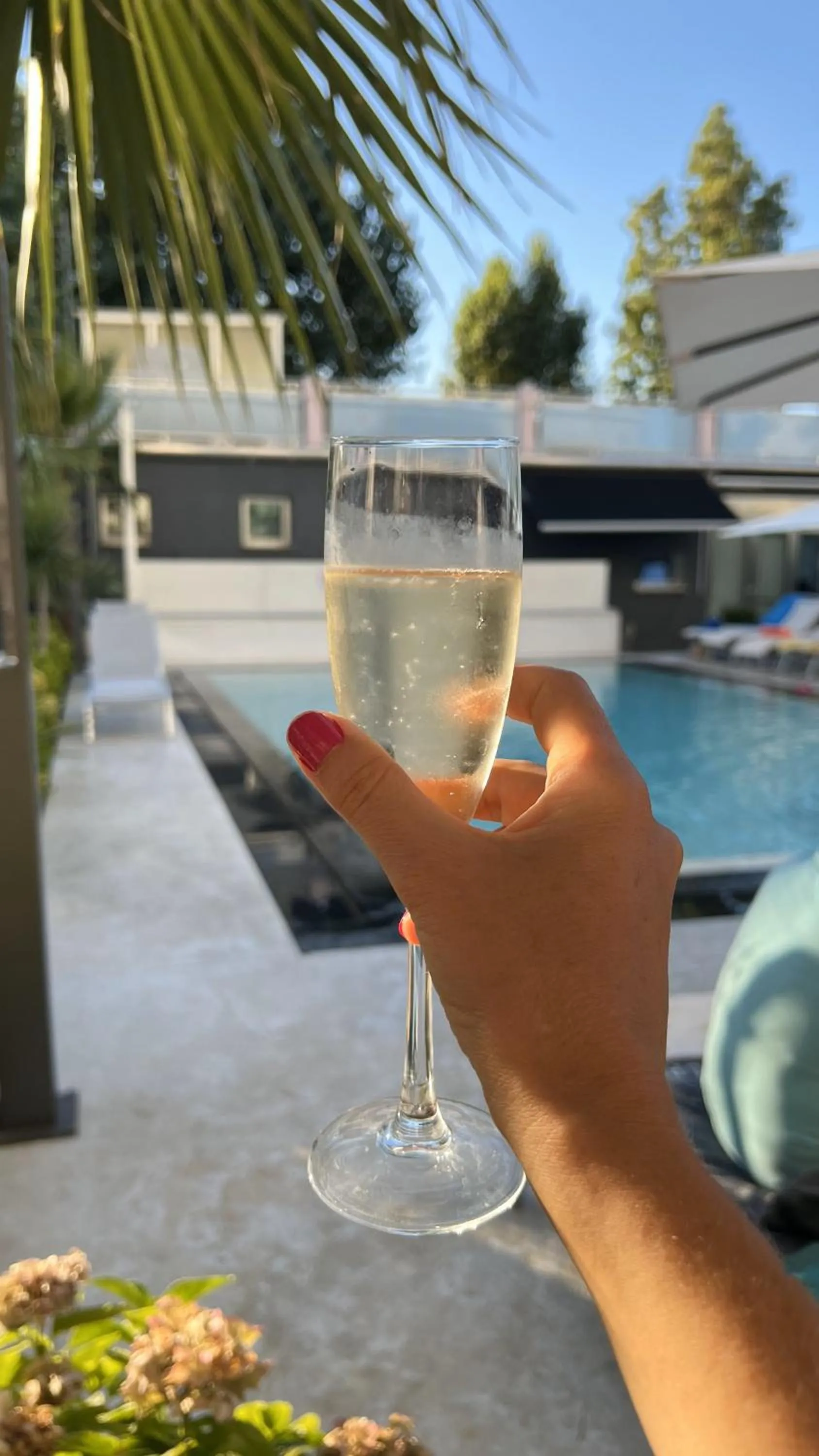 Evening entertainment in Hotel Due Mari & SPA