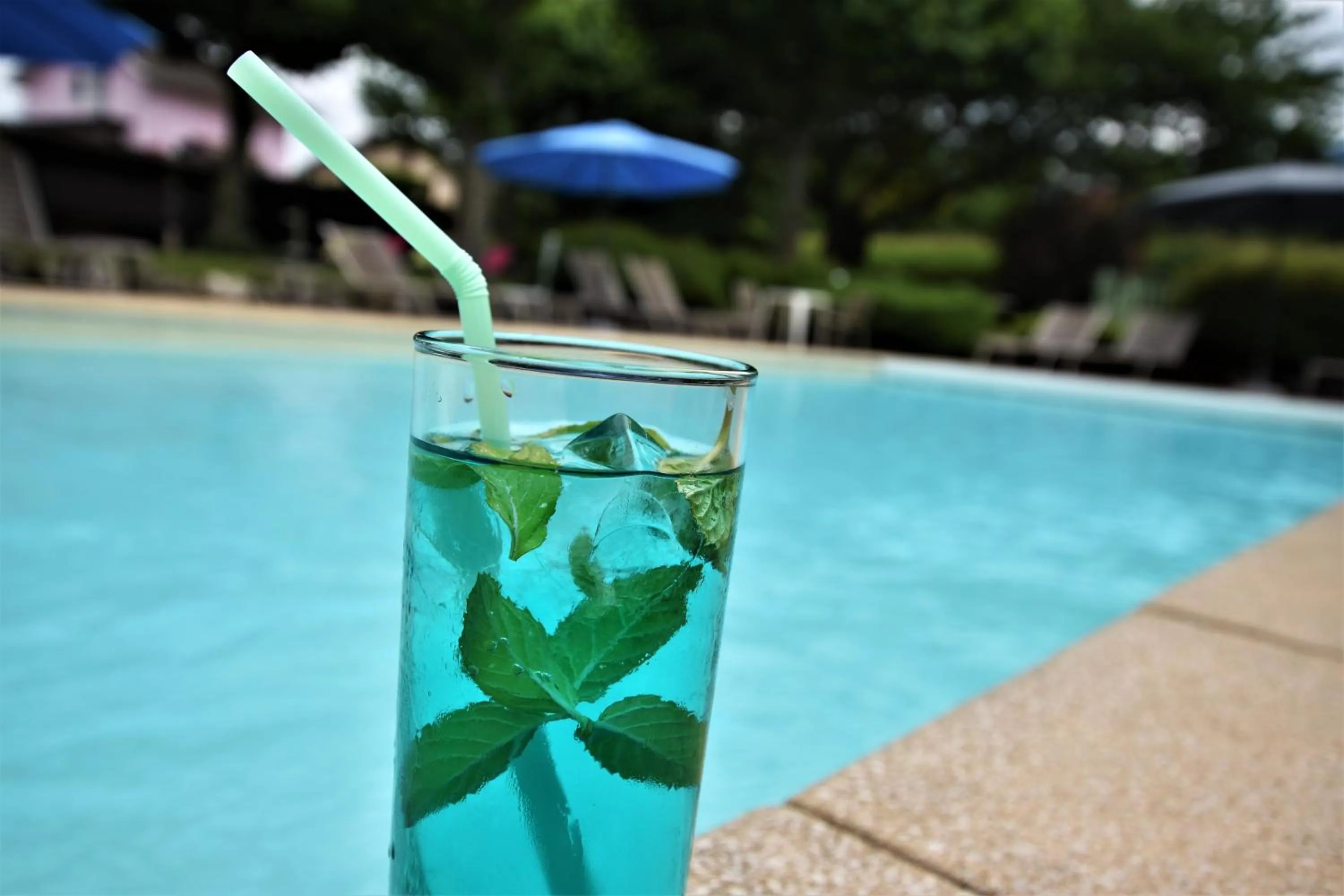 Day in Logis Auberge Saint Simond