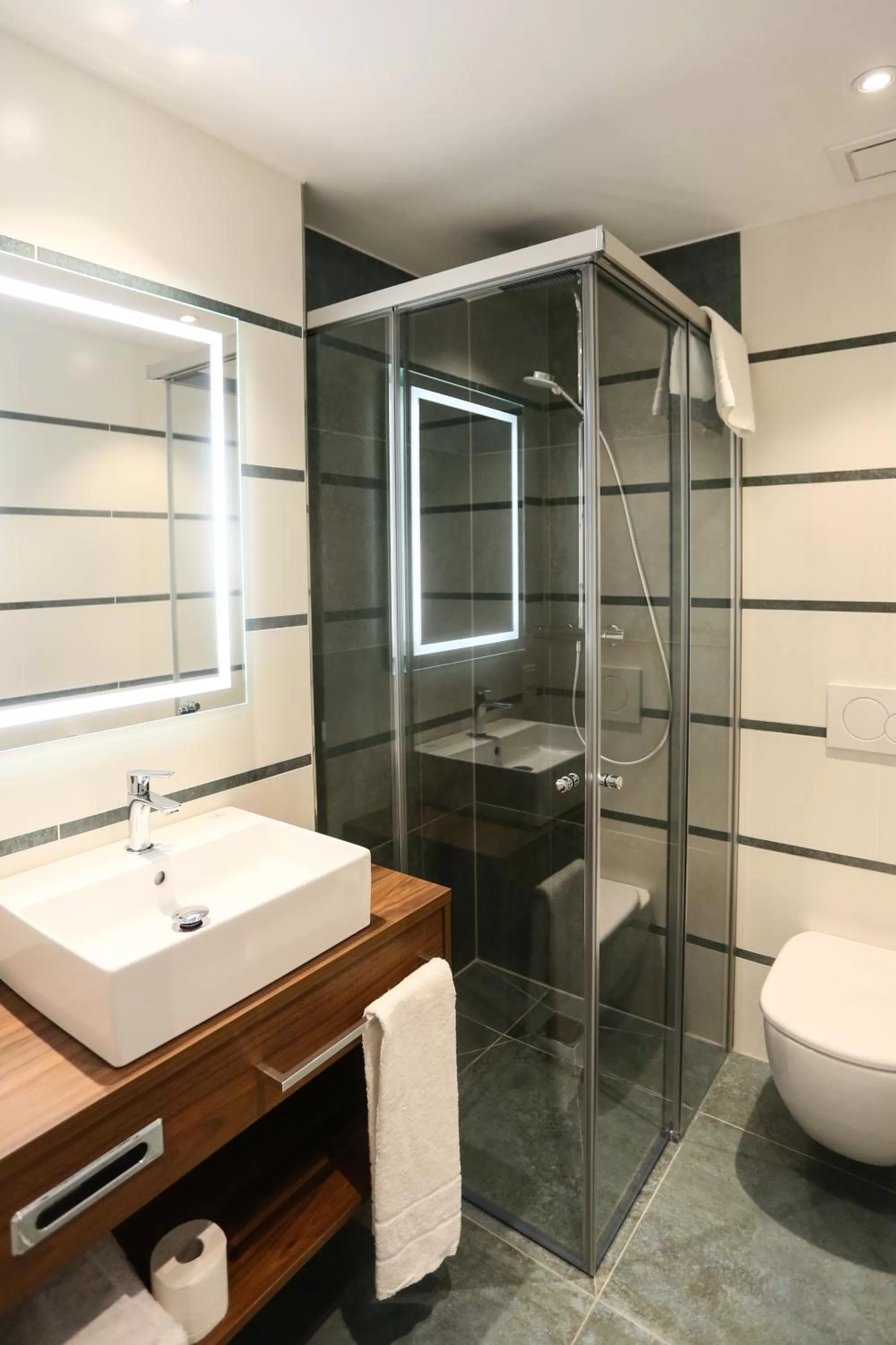 Bathroom in Hotel Lutz