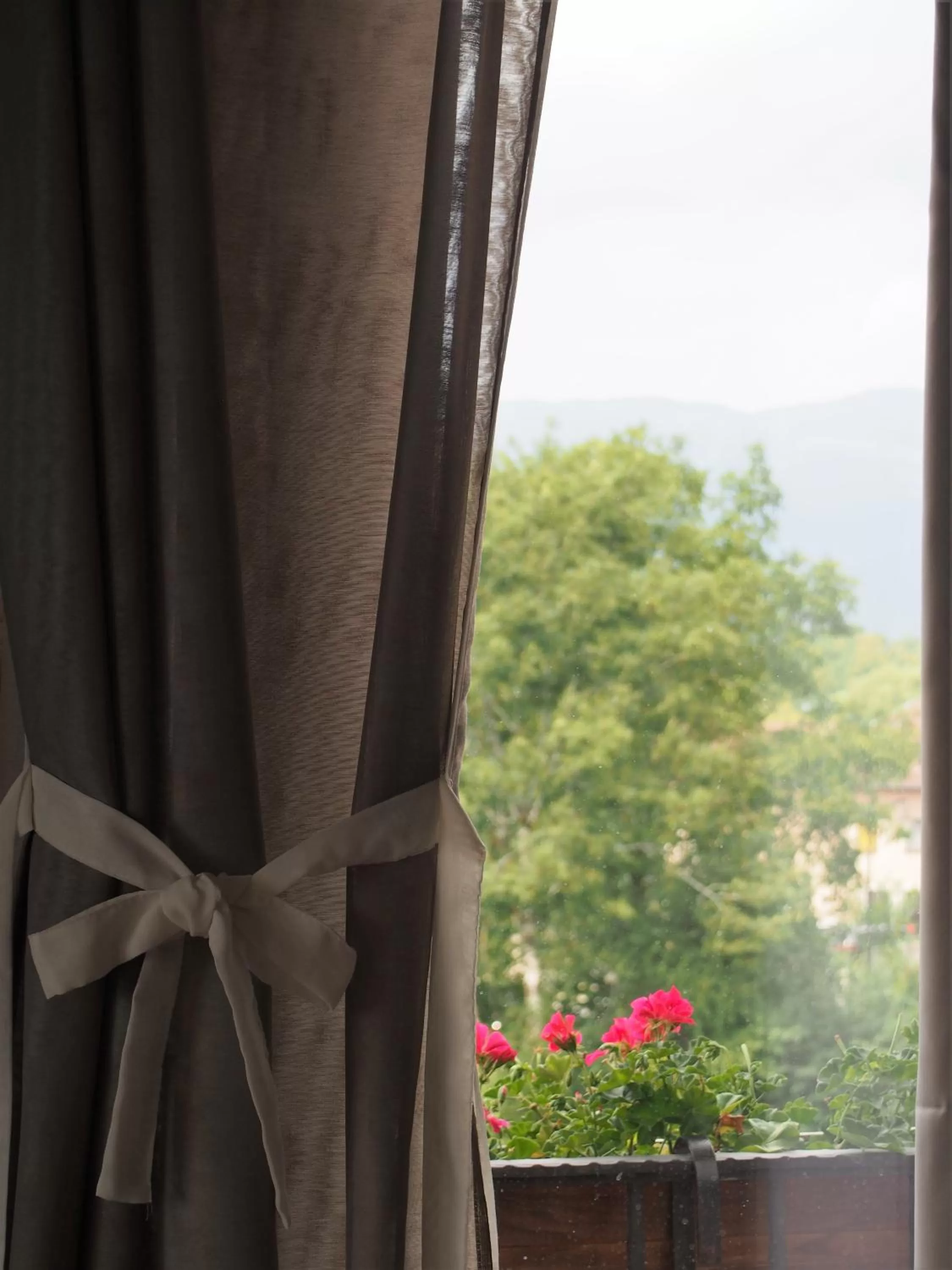 Les Lumières de Genève