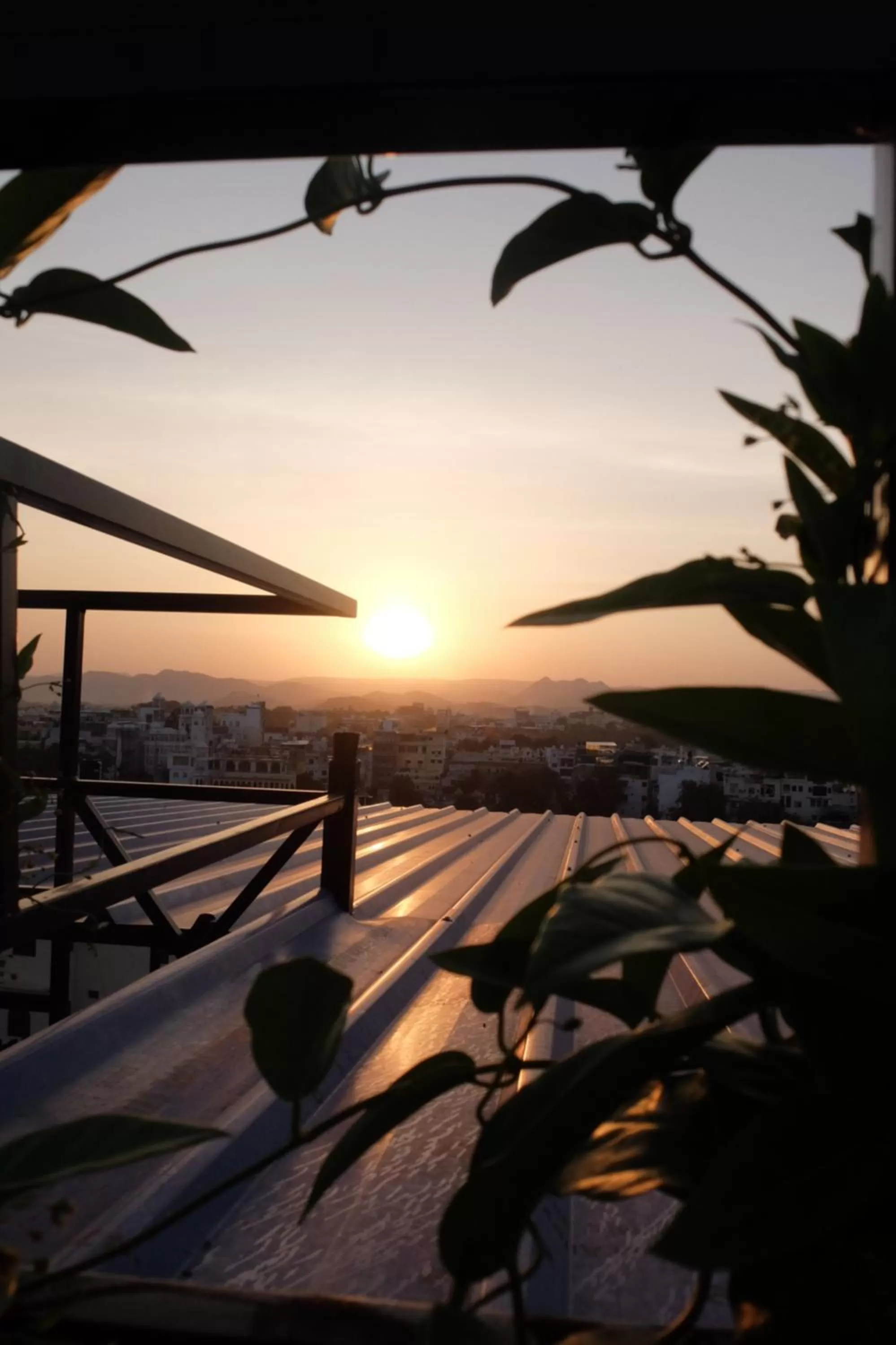 Balcony/Terrace in Little Peepal House