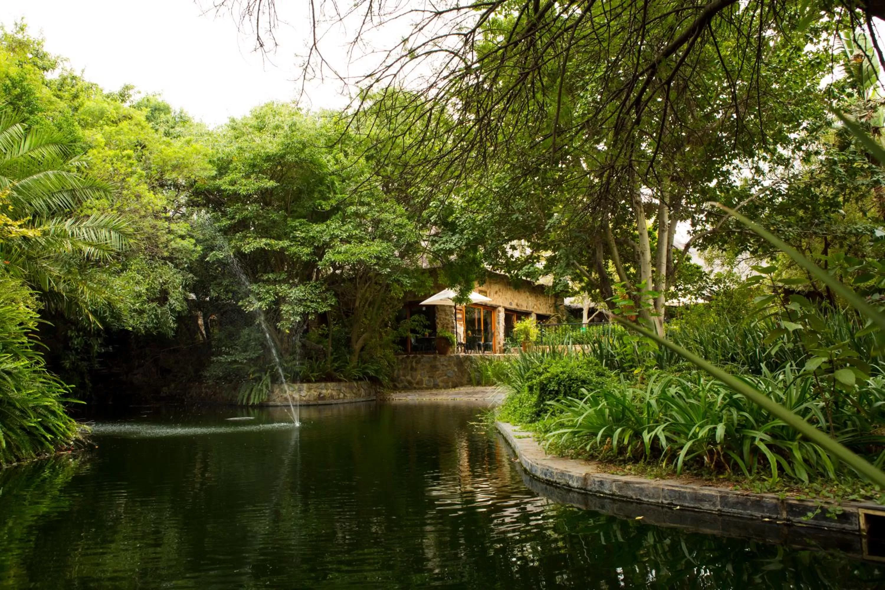 Garden view in Misty Hills Country Hotel, Conference Centre & Spa