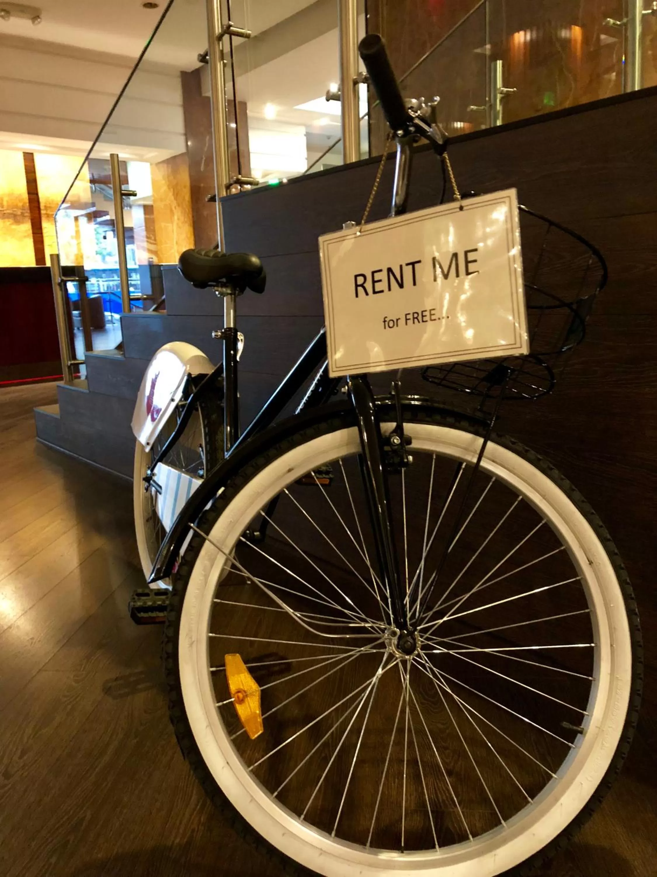 Activities in Hotel Reina Isabel