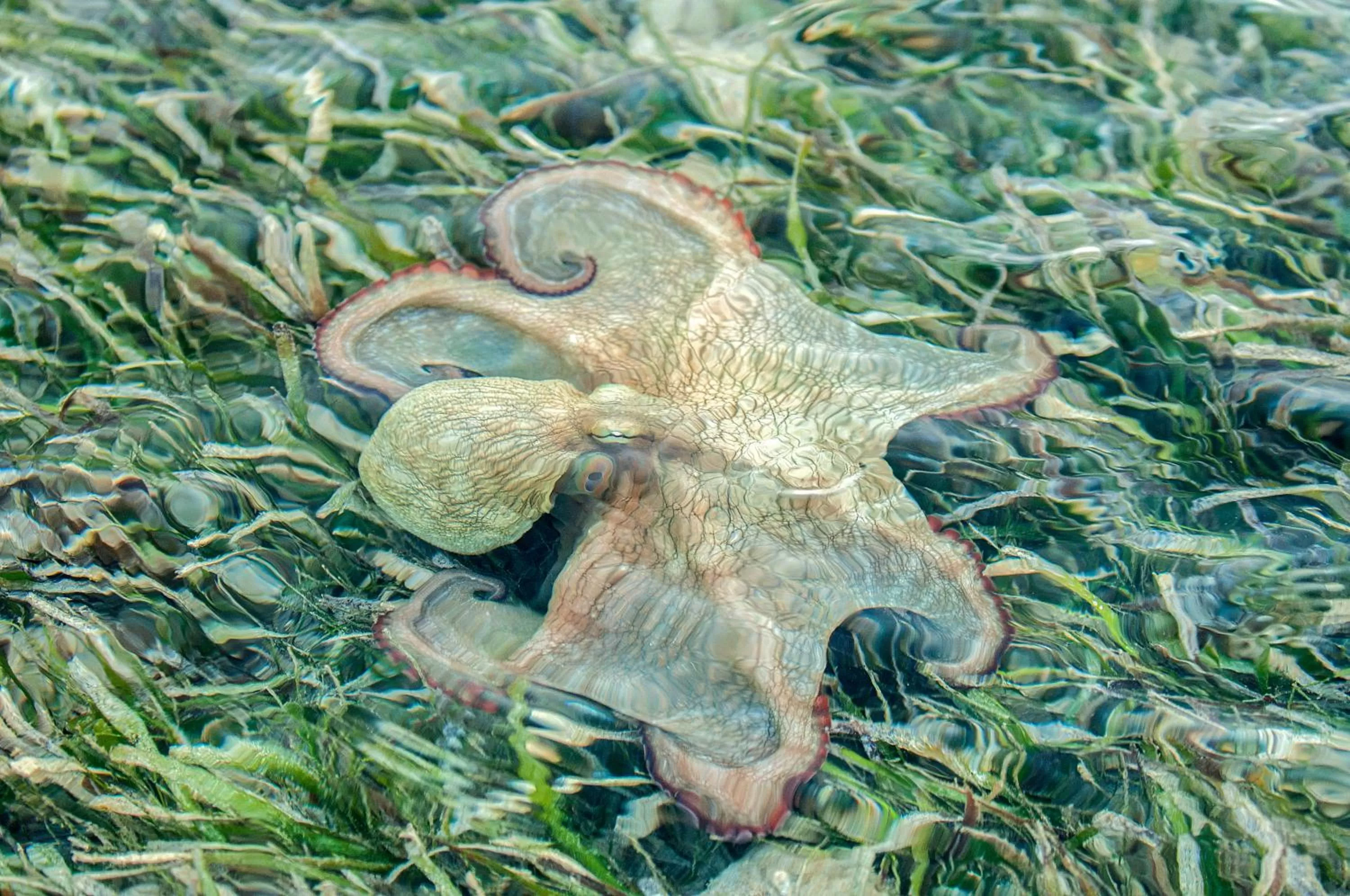 Fishing in Black Dolphin Inn