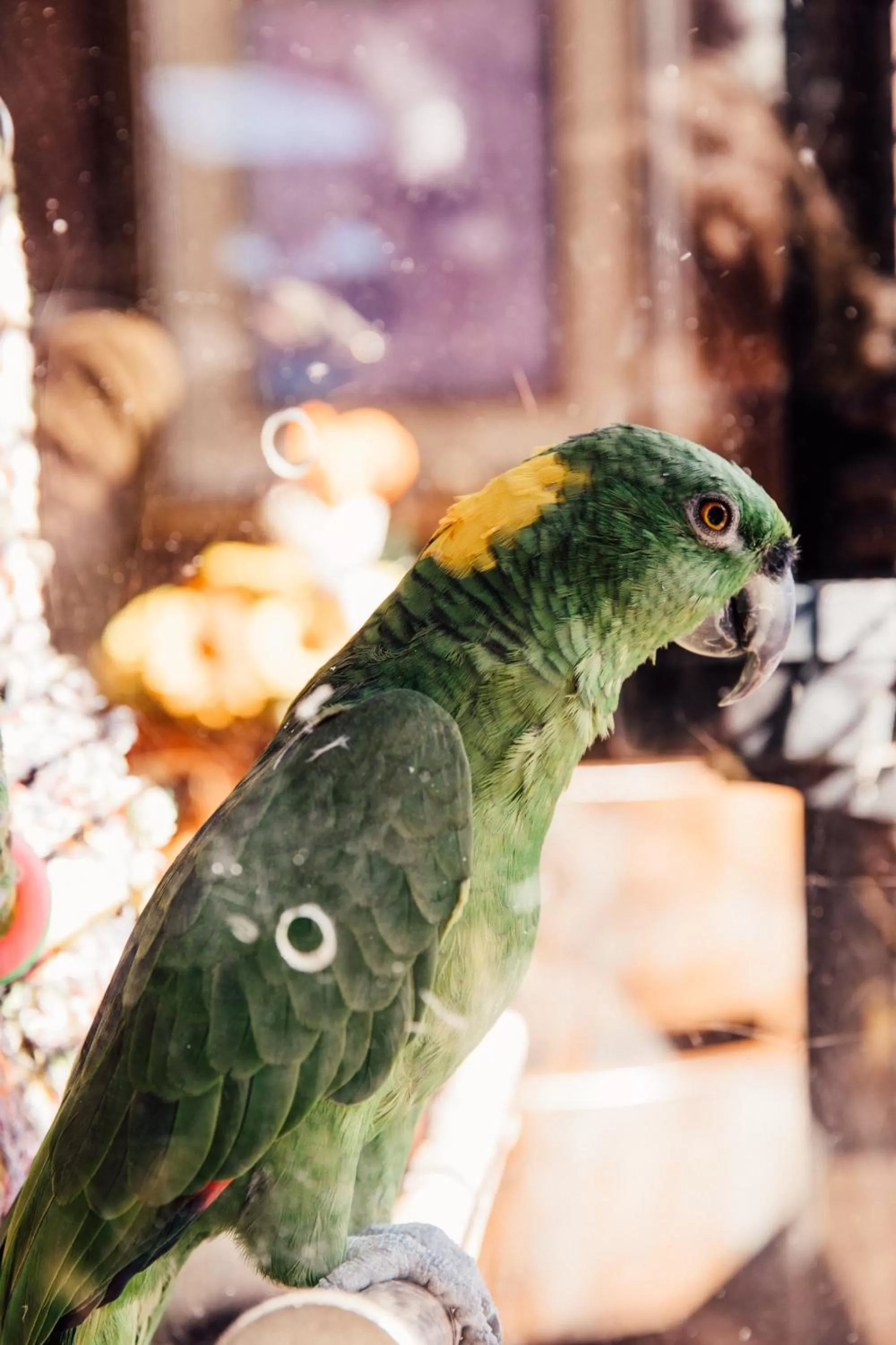 Lobby or reception in Brookside Lodge