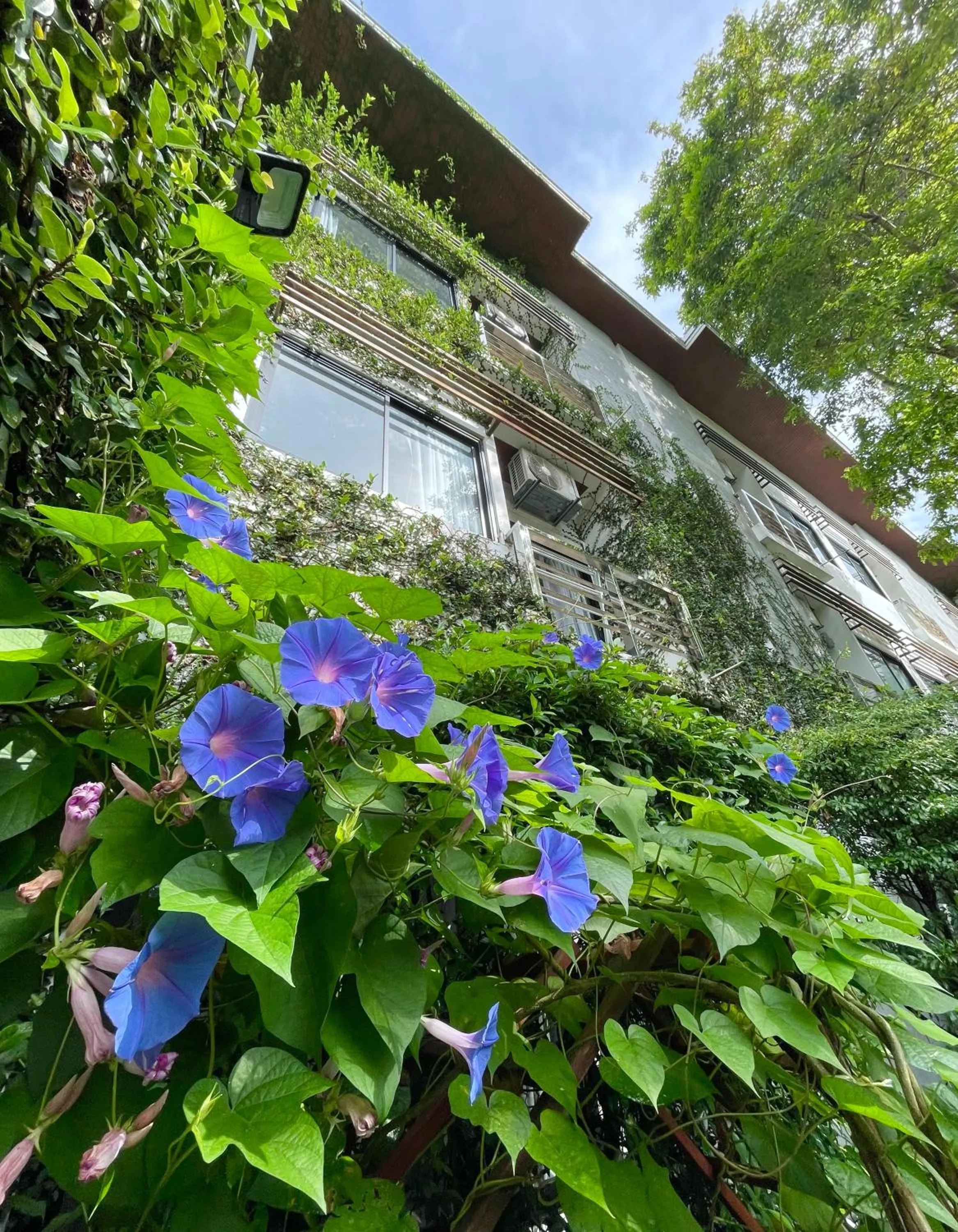 Property building in Ideo Phuket Hotel - Naiyang Beach