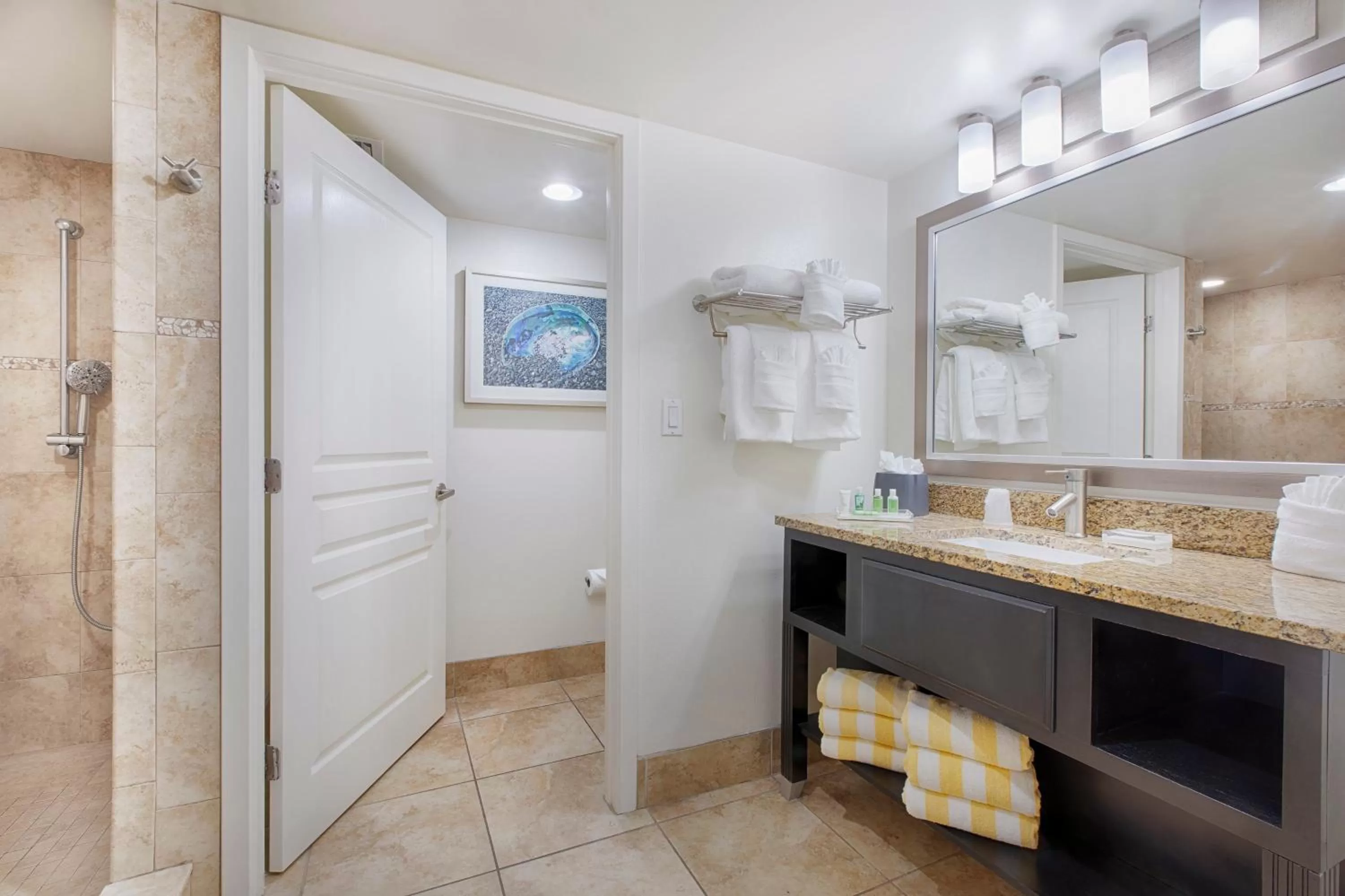Bathroom in Holiday Inn Resort Daytona Beach Oceanfront by IHG