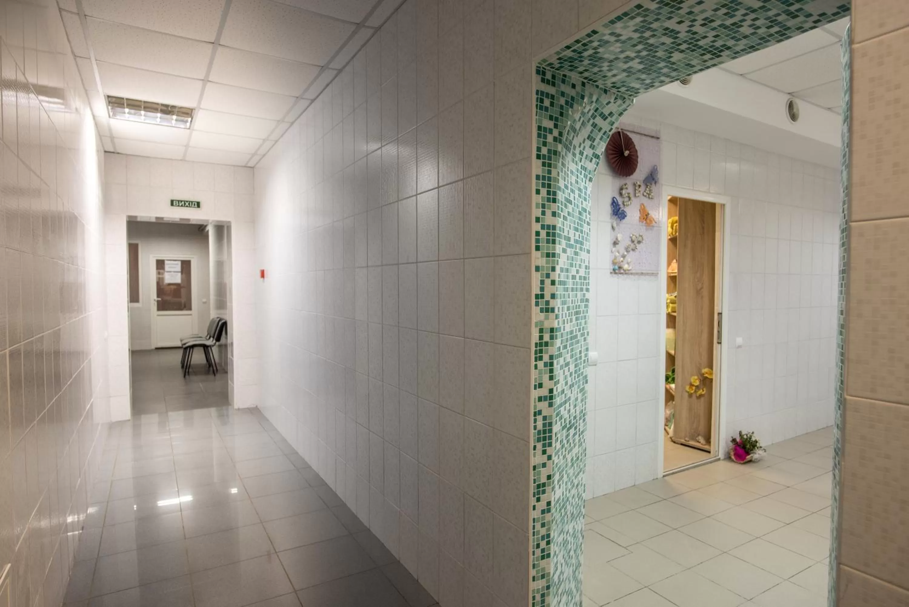 Spa and wellness centre/facilities in Zelenyy Bir