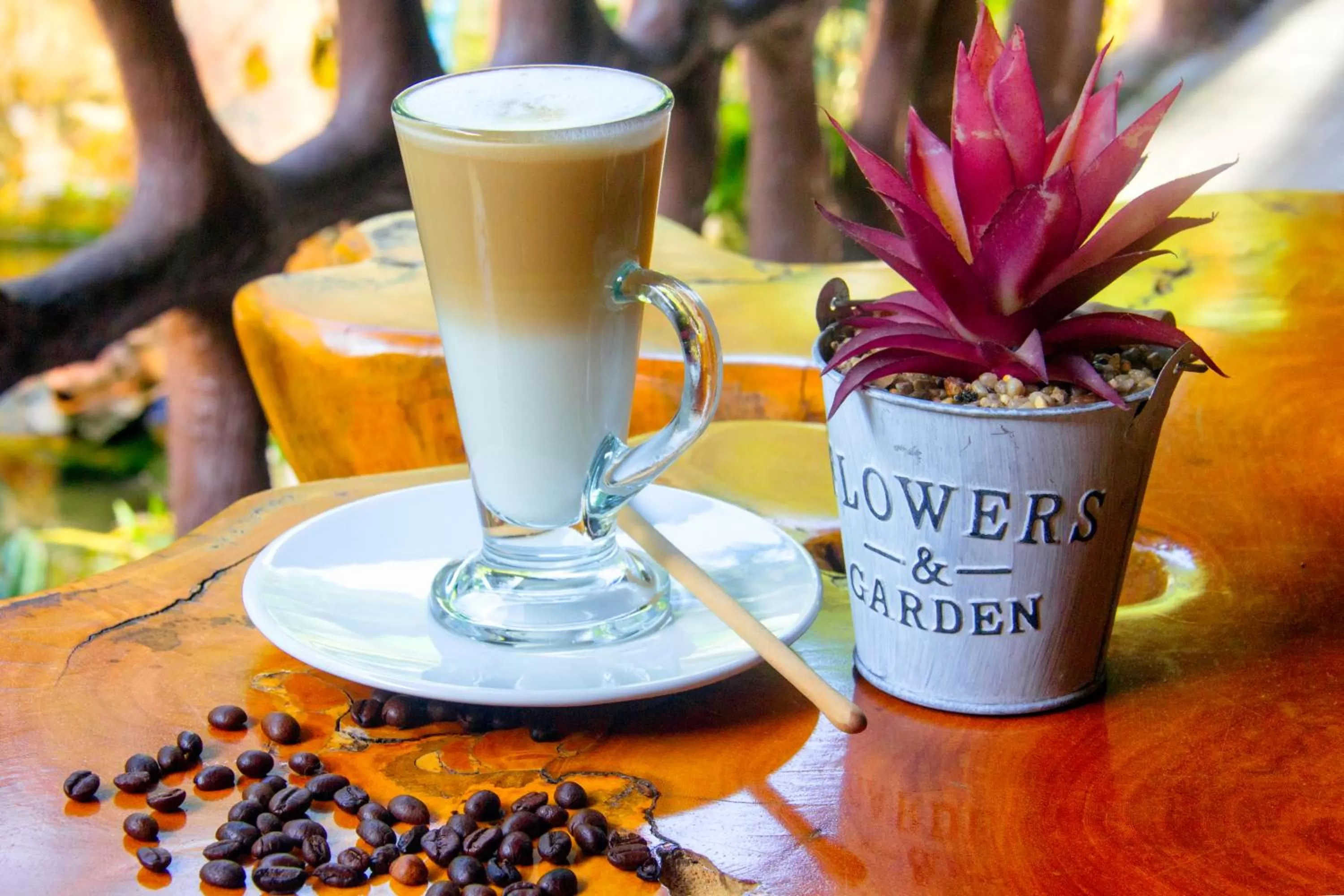 Coffee/tea facilities in Khao Sok Palmview Resort