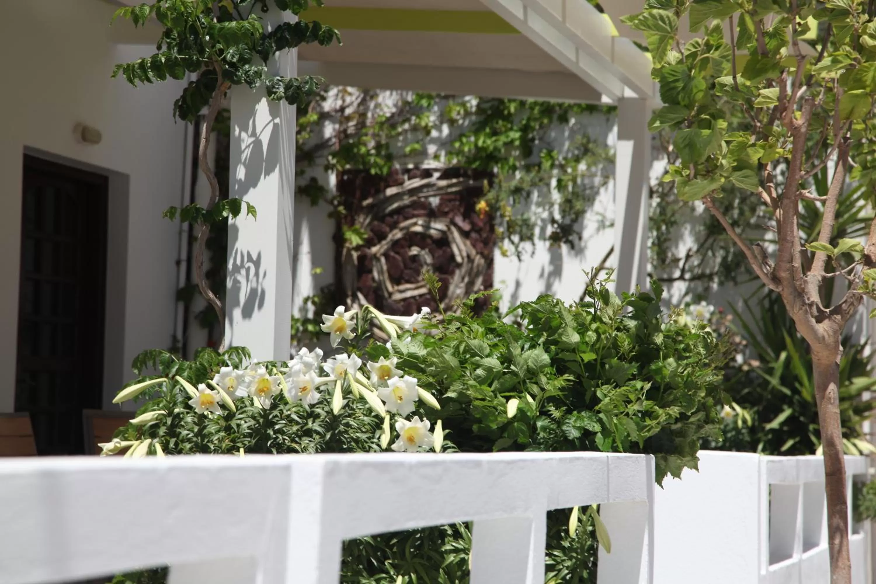 Patio in Aris Boutique Hotel
