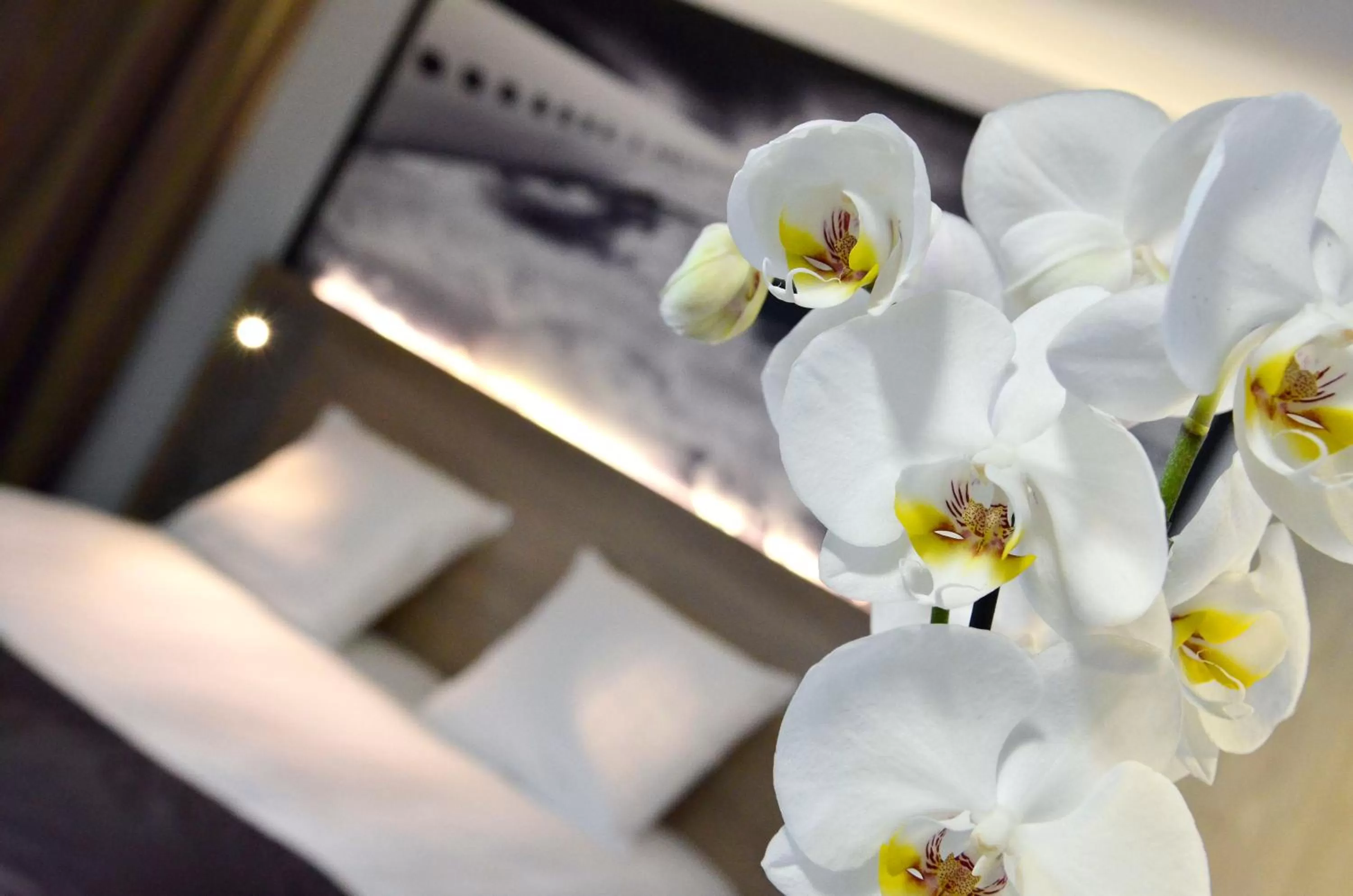 Photo of the whole room, Bed in Best Western Les Aureliades Saint Nazaire