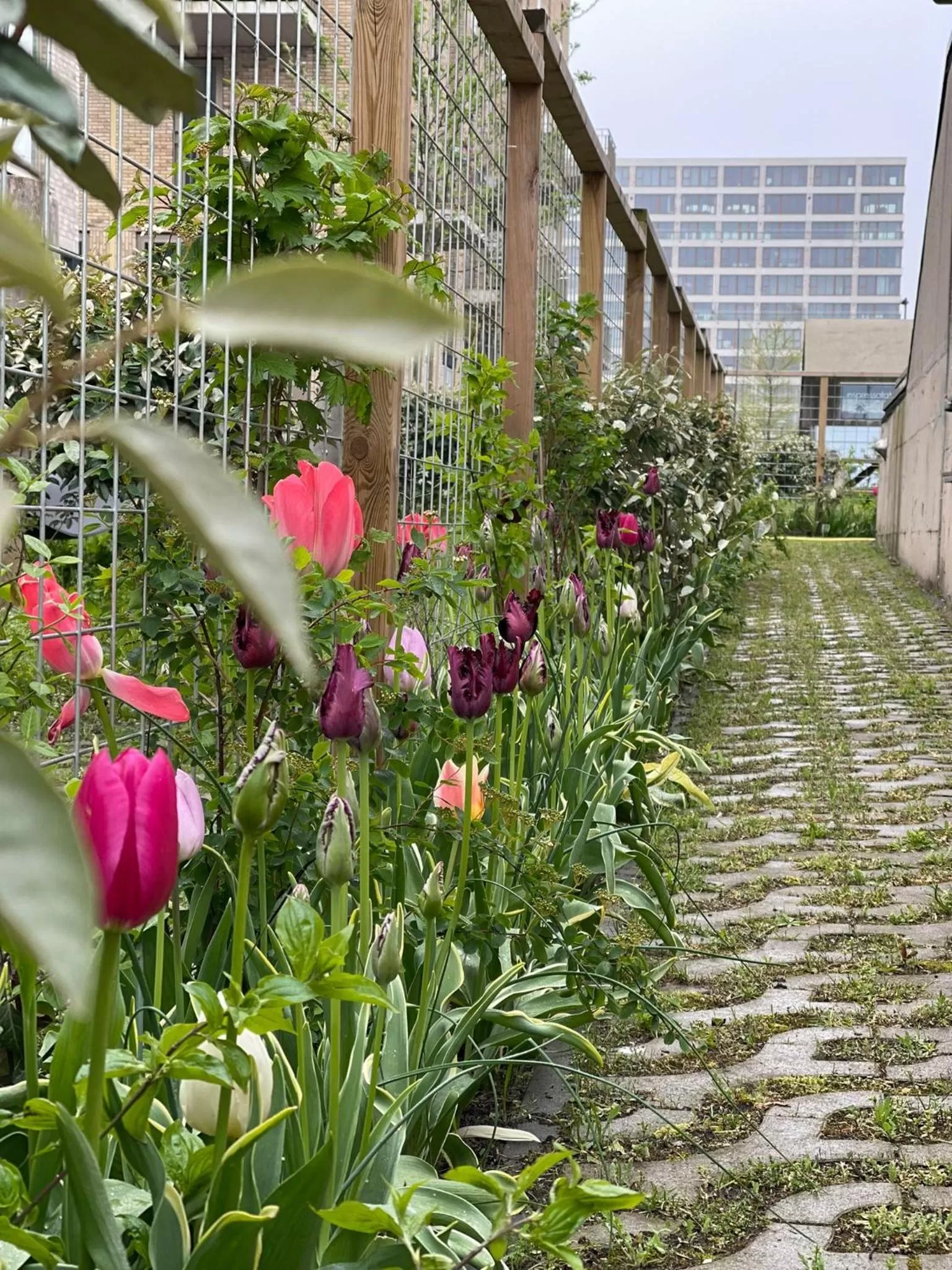 Property building, Garden in vondice hotel