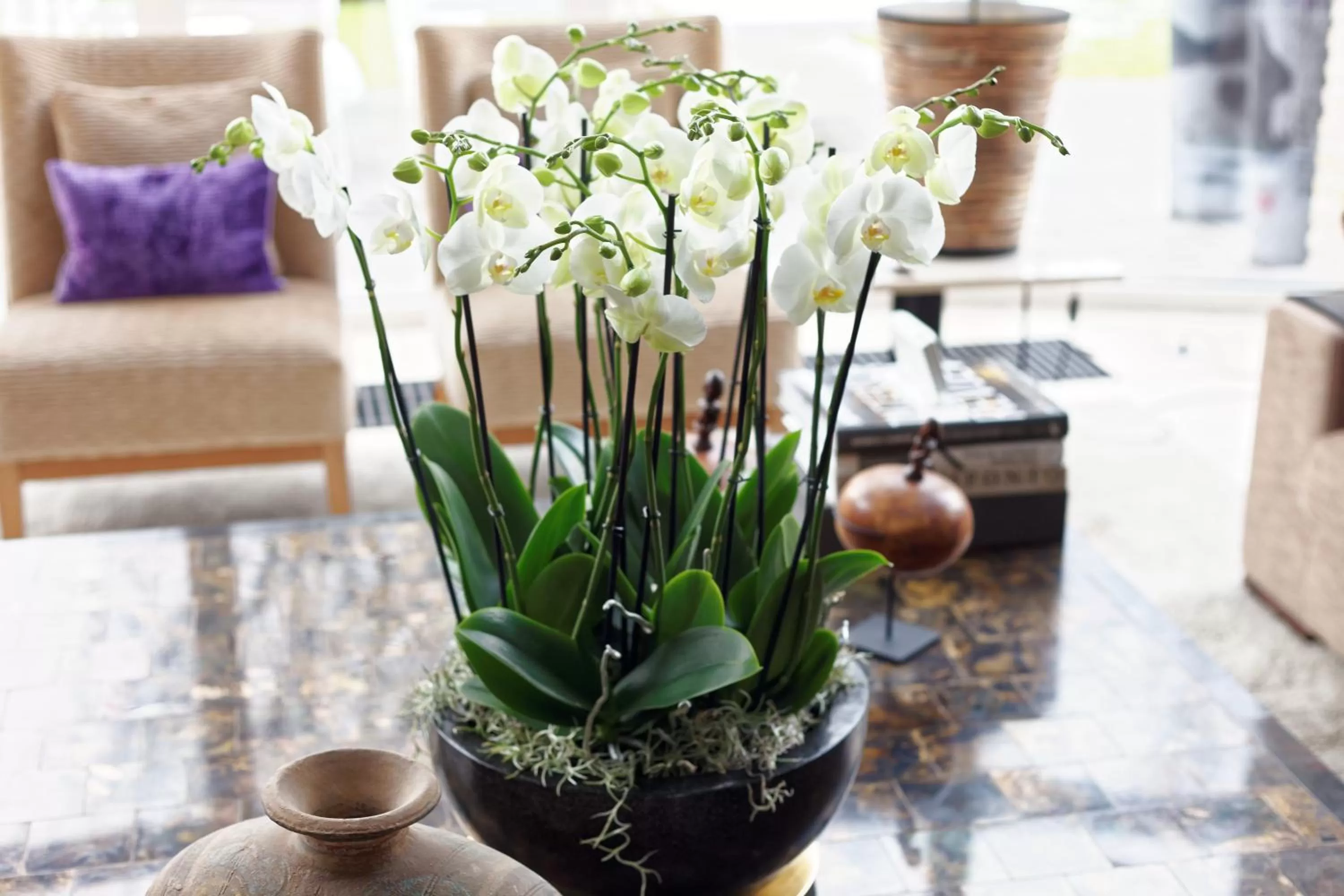 Decorative detail in Villa Tiffany