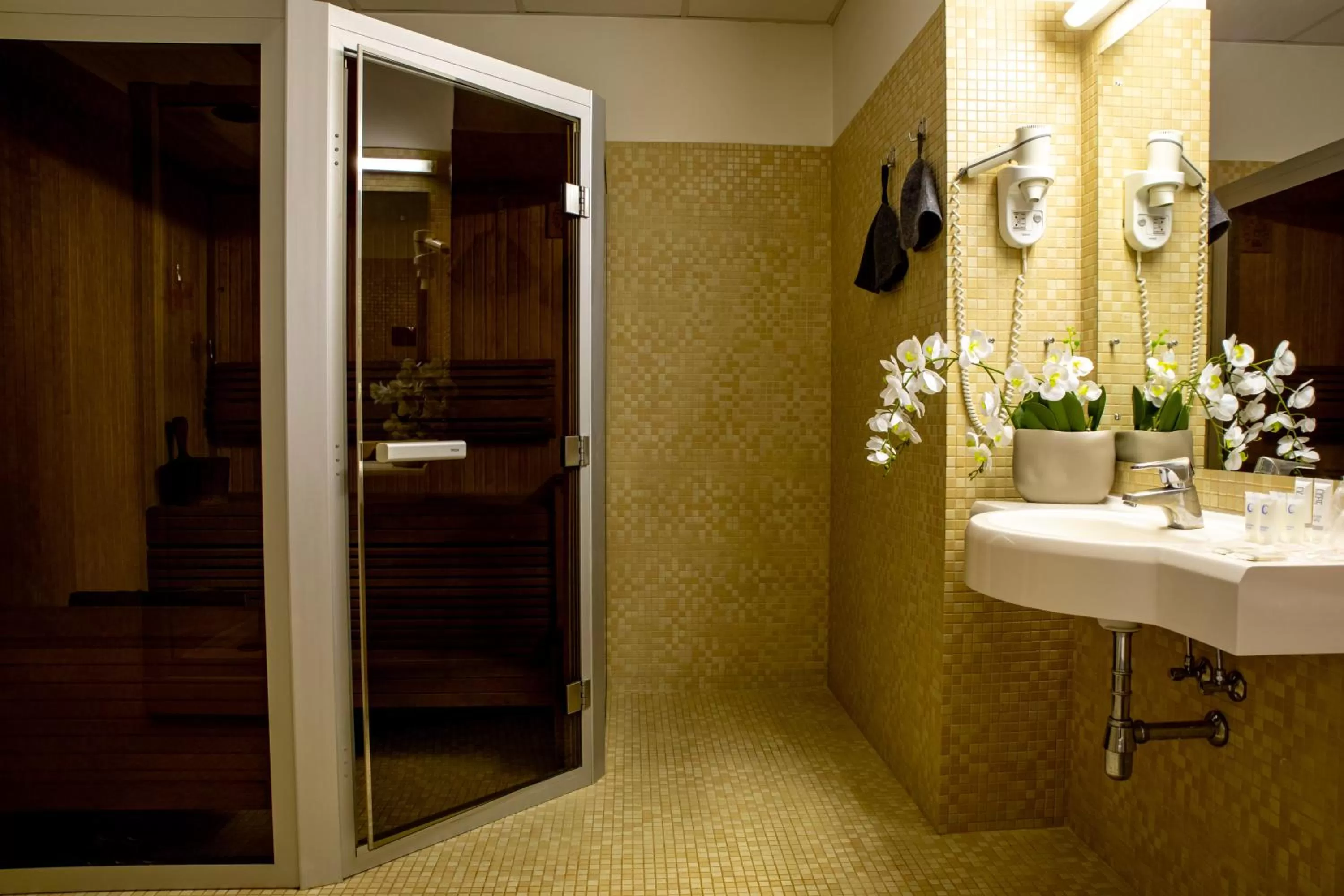 Sauna in Rija Bauska Hotel