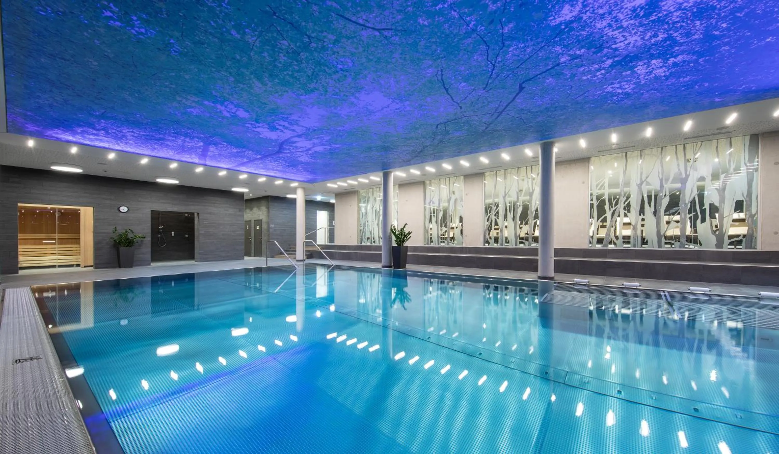 Swimming pool in Hotel Der Waldhof