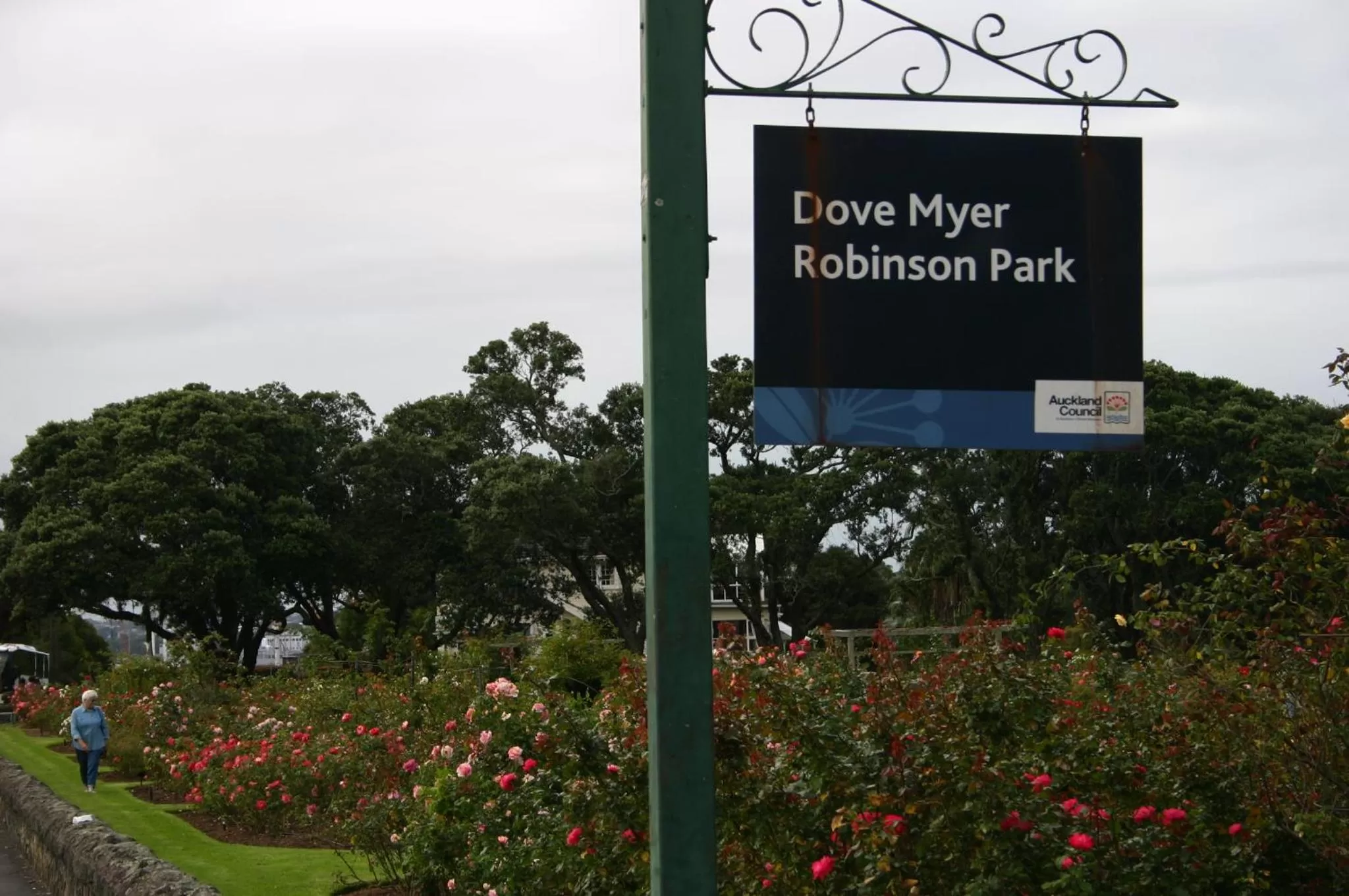 Nearby landmark in Parnell Pines Hotel