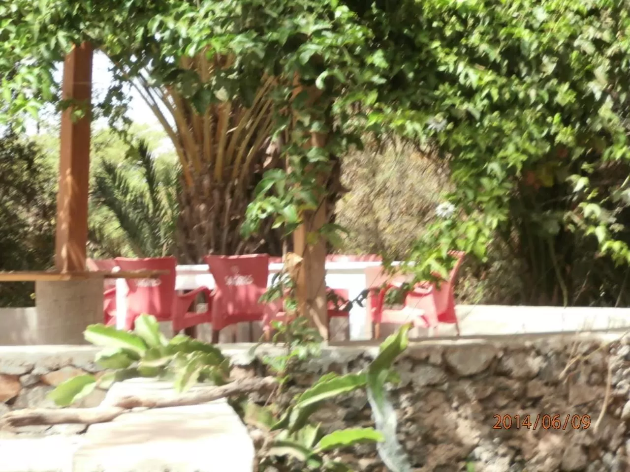 Garden in Villa Morabeza Guest House