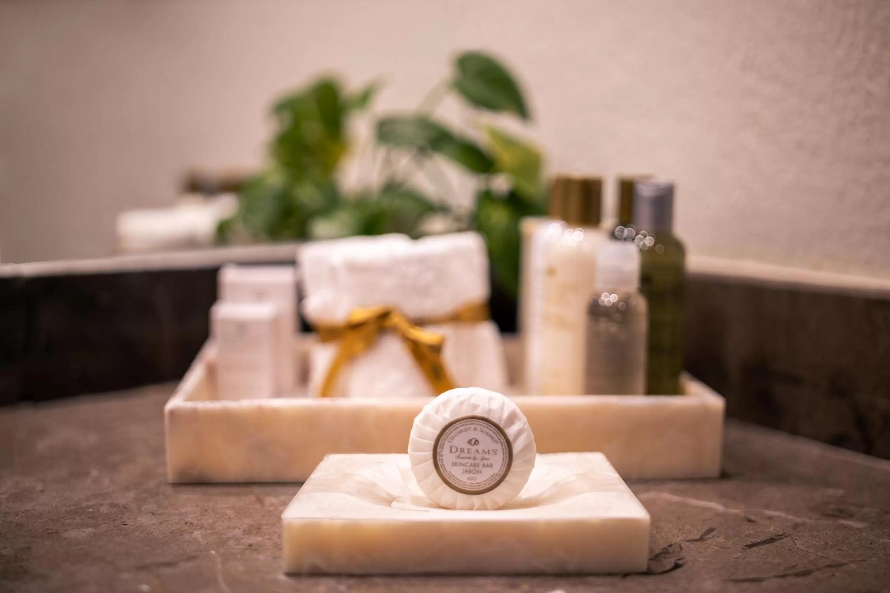 Toilet in Dreams Aventuras Riviera Maya - All Inclusive