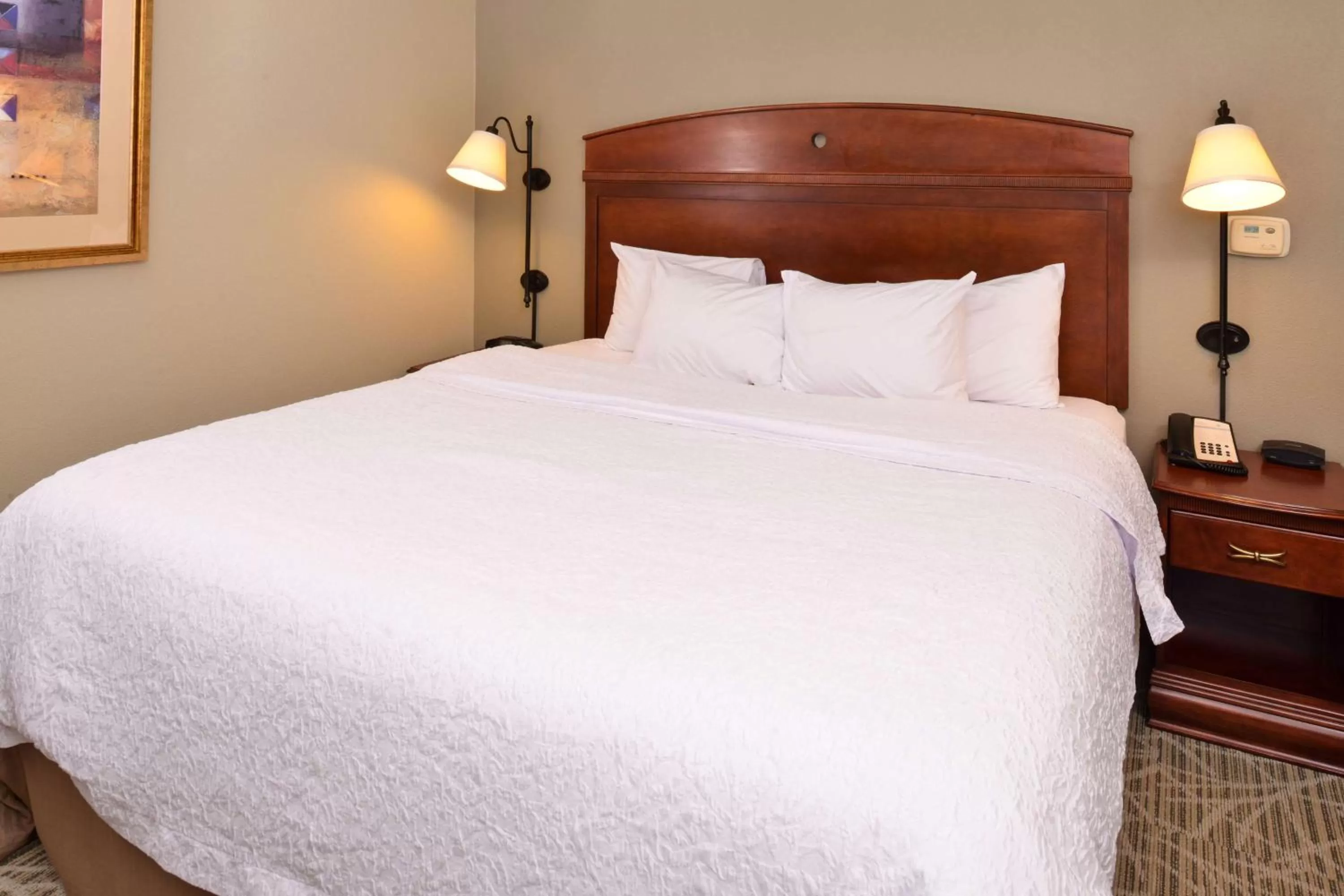 Bed in Hampton Inn by Hilton Litchfield