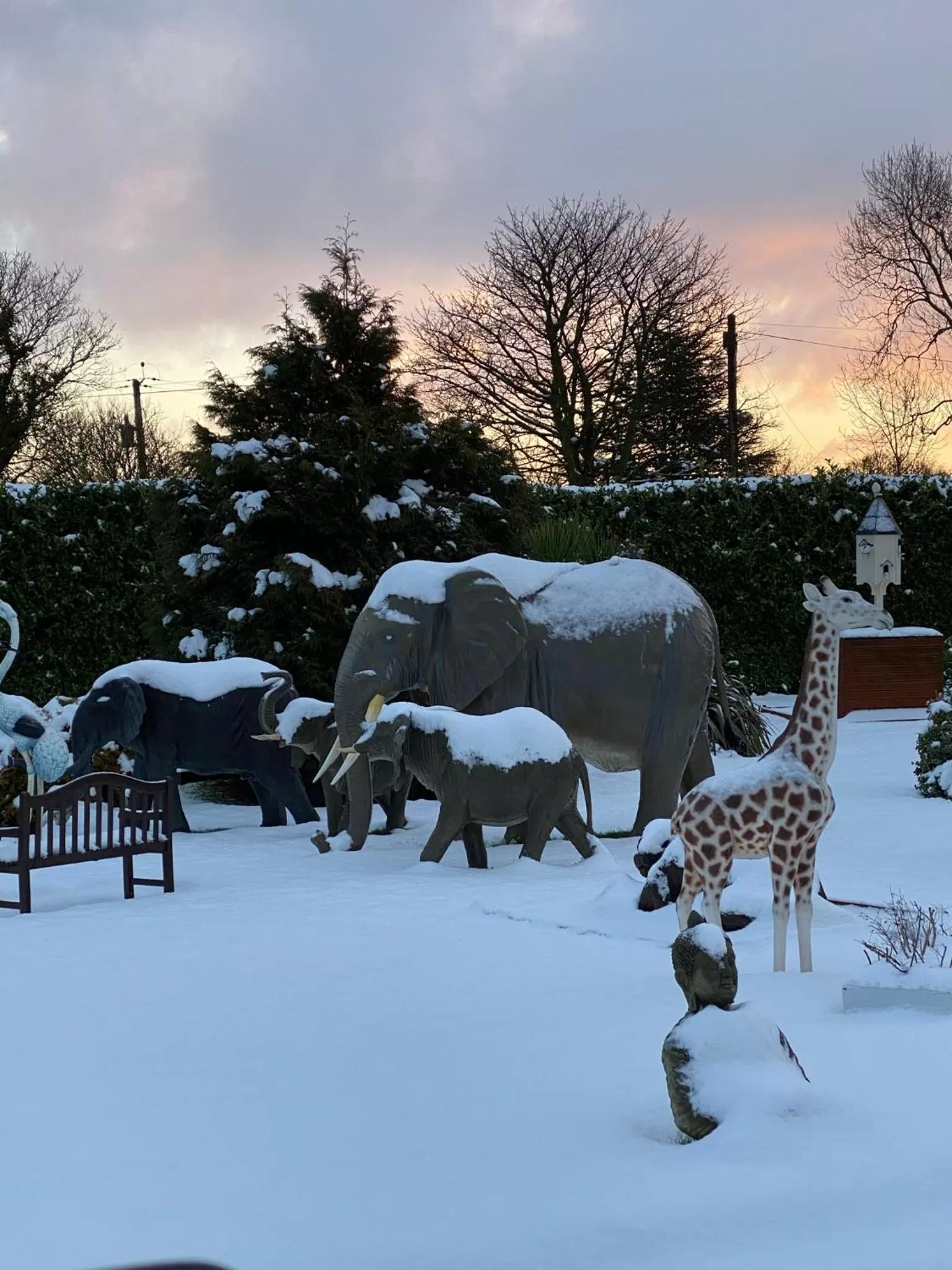Garden in The Hilltop Haven