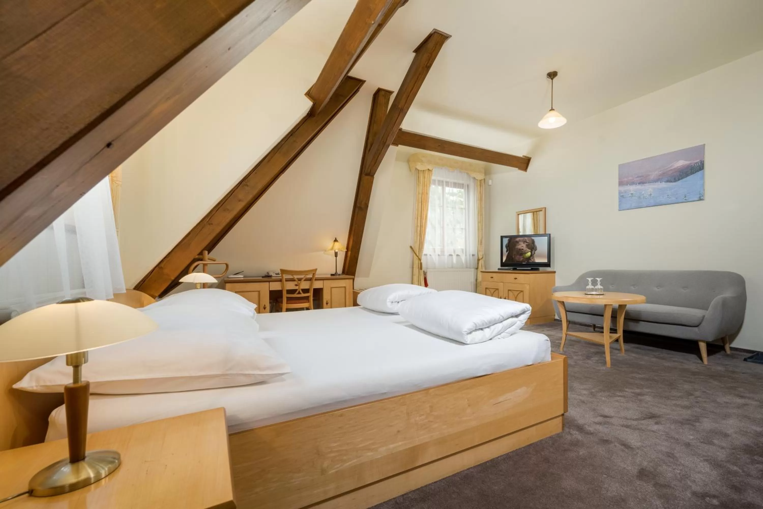 Bed in Hotel Zlaty Lev