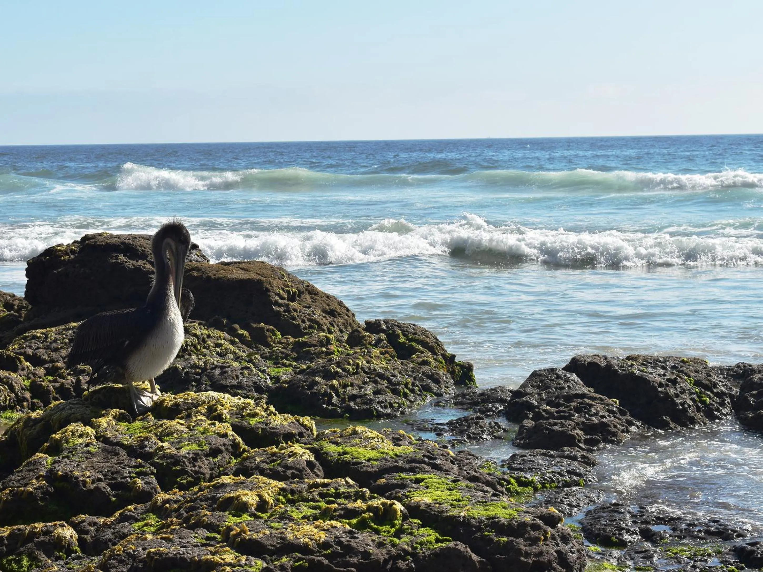Natural landscape in Castillos Del Mar