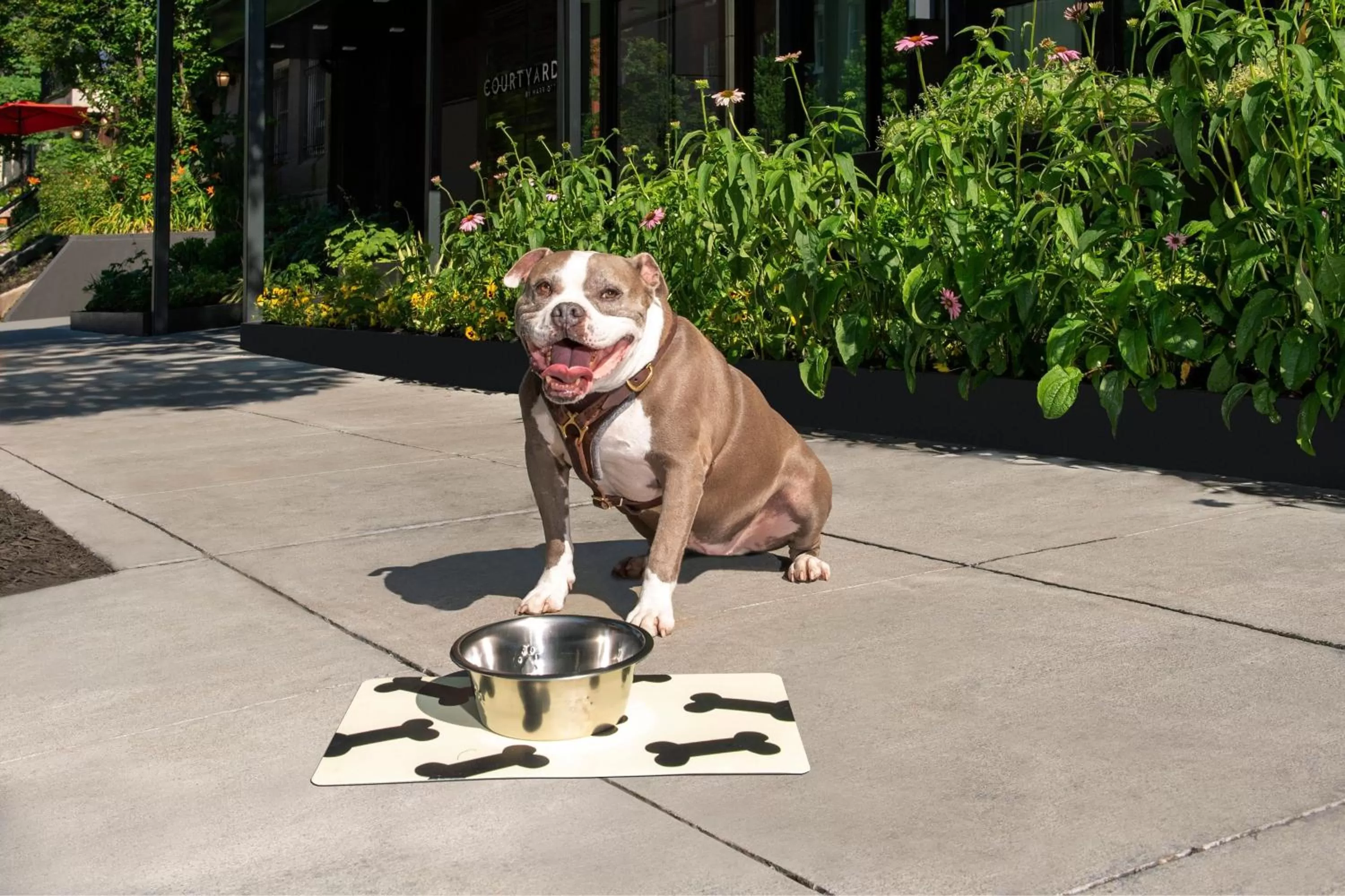 Property building in Courtyard by Marriott Washington, DC Dupont Circle