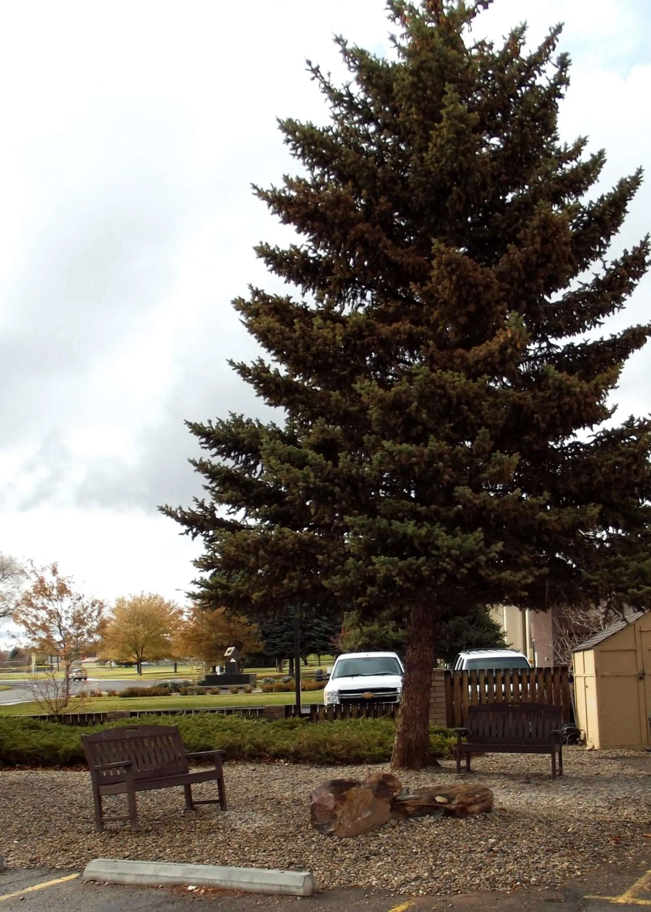 Facade/entrance in Travelodge by Wyndham Elko NV