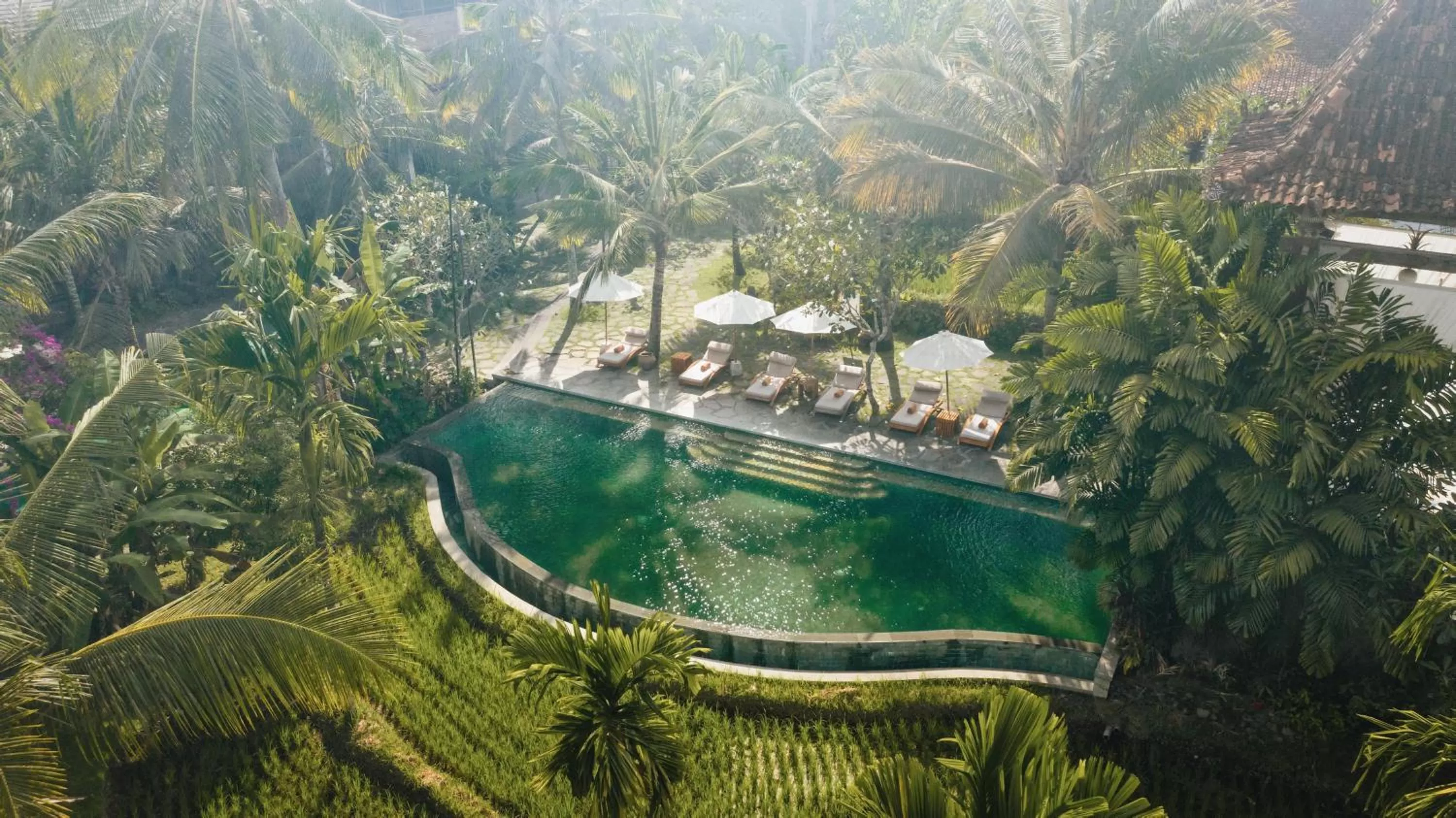 Swimming pool in Alaya Resort Ubud