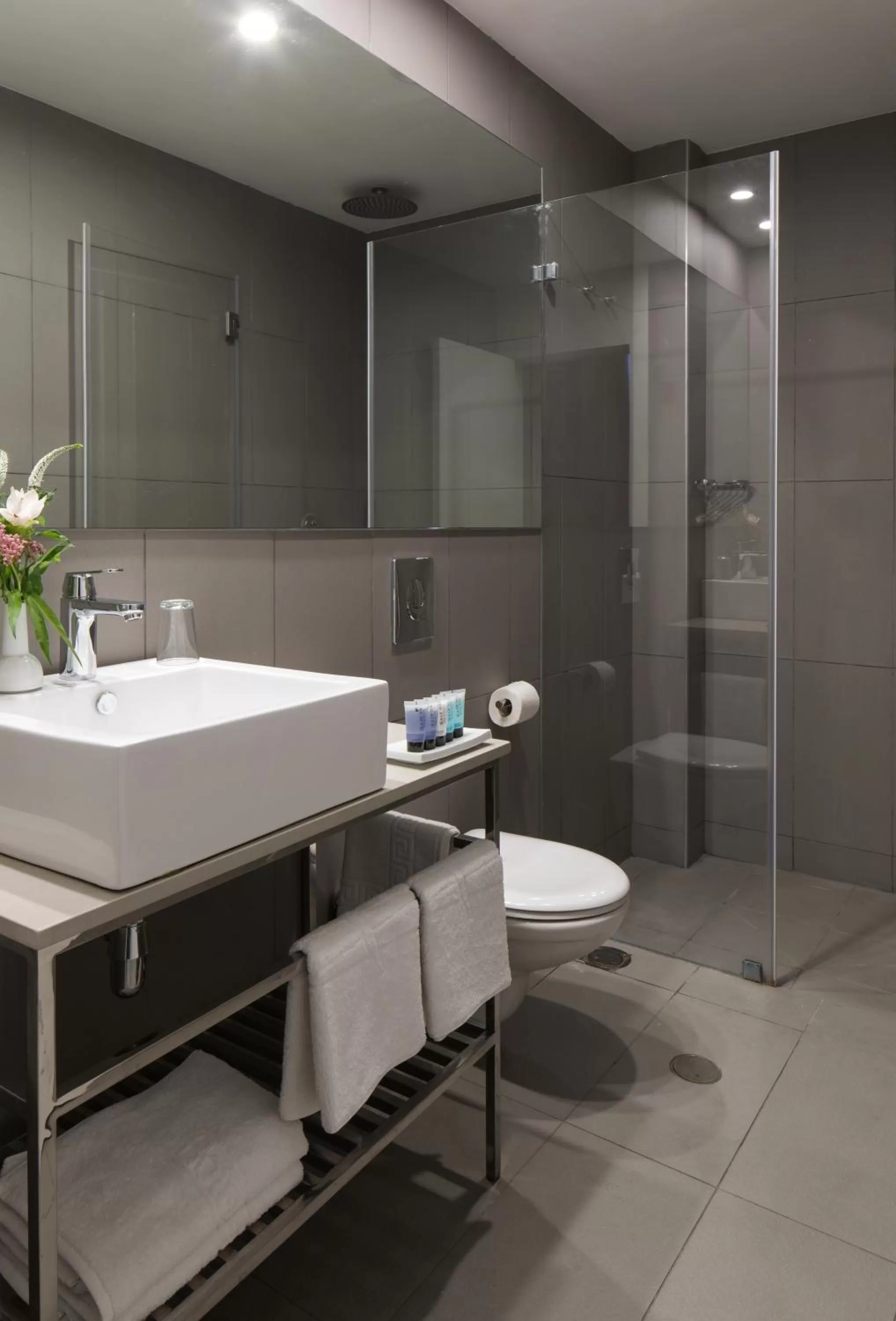 Toilet in Metropolitan Hotel