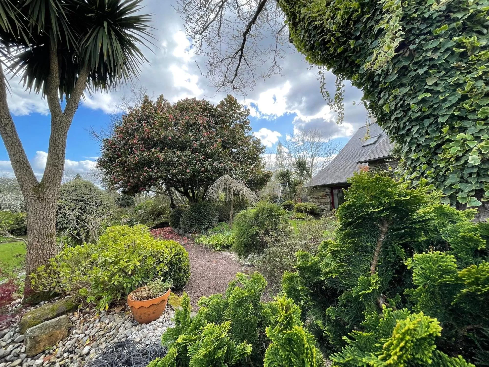 La Corne de Cerf, Forêt de Brocéliande