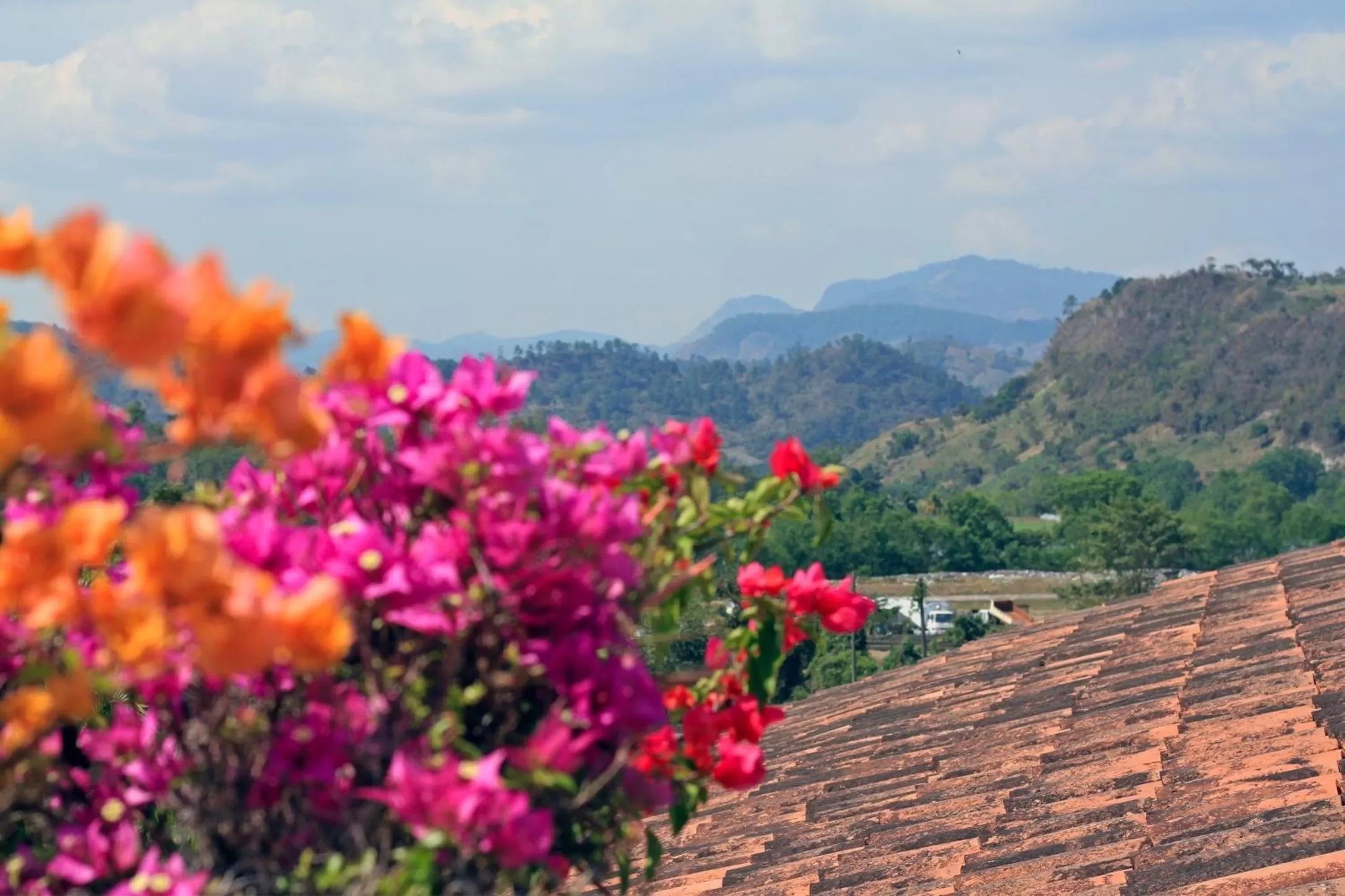 Mountain View in La Casa de Cafe Bed and Breakfast