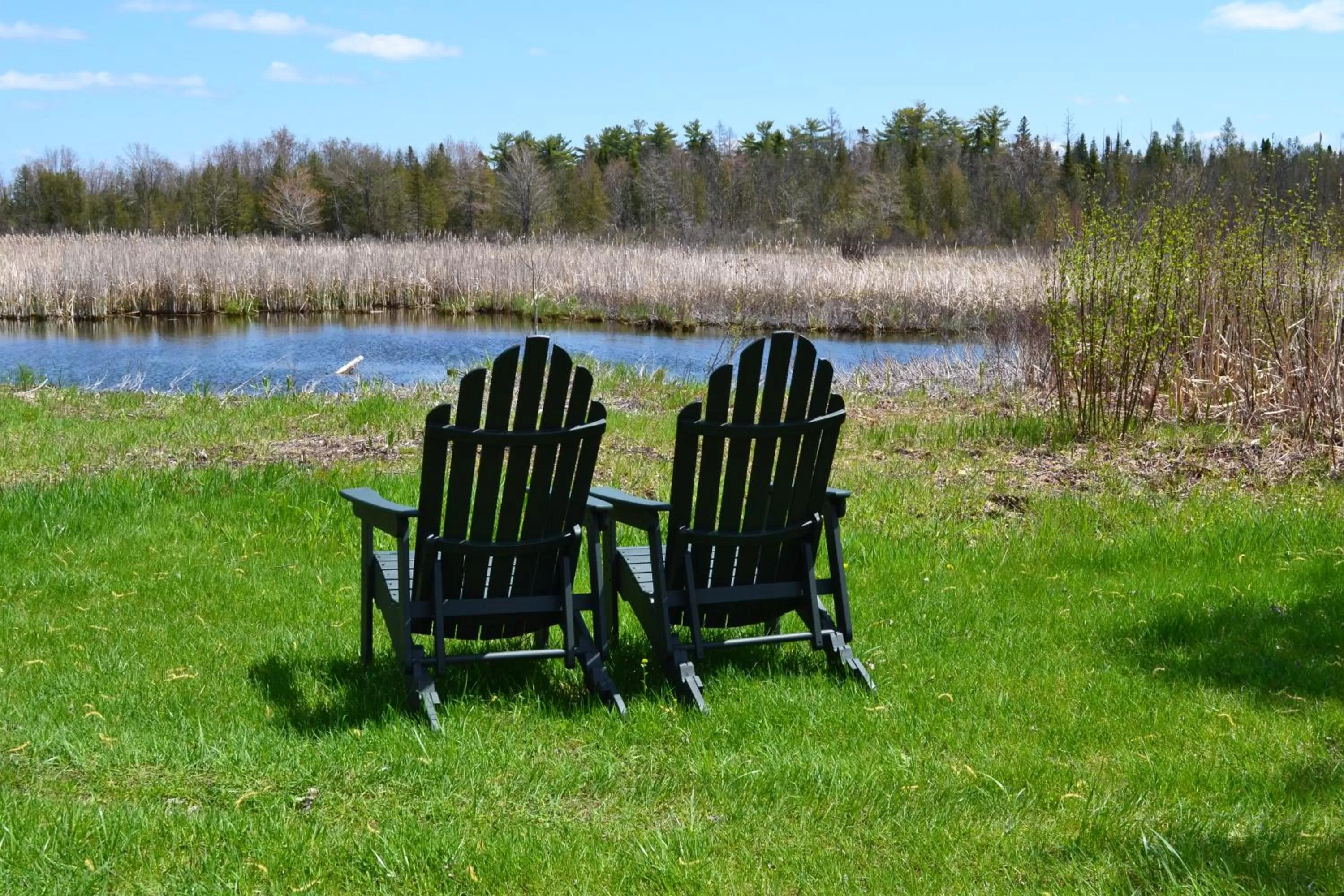 View (from property/room) in Crooked River Lodge
